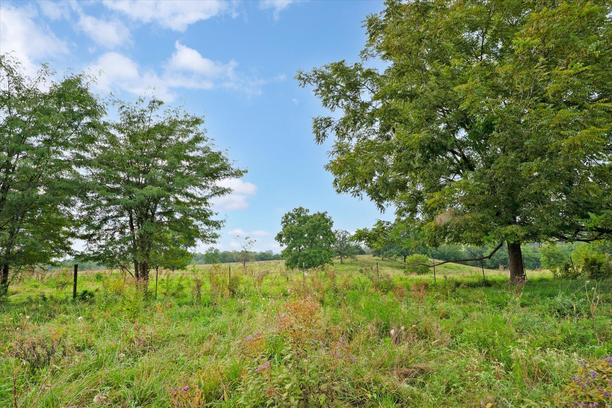 Photo 11 - Land for sale – 9749 W Farm Road 22   Walnut Grove, MO