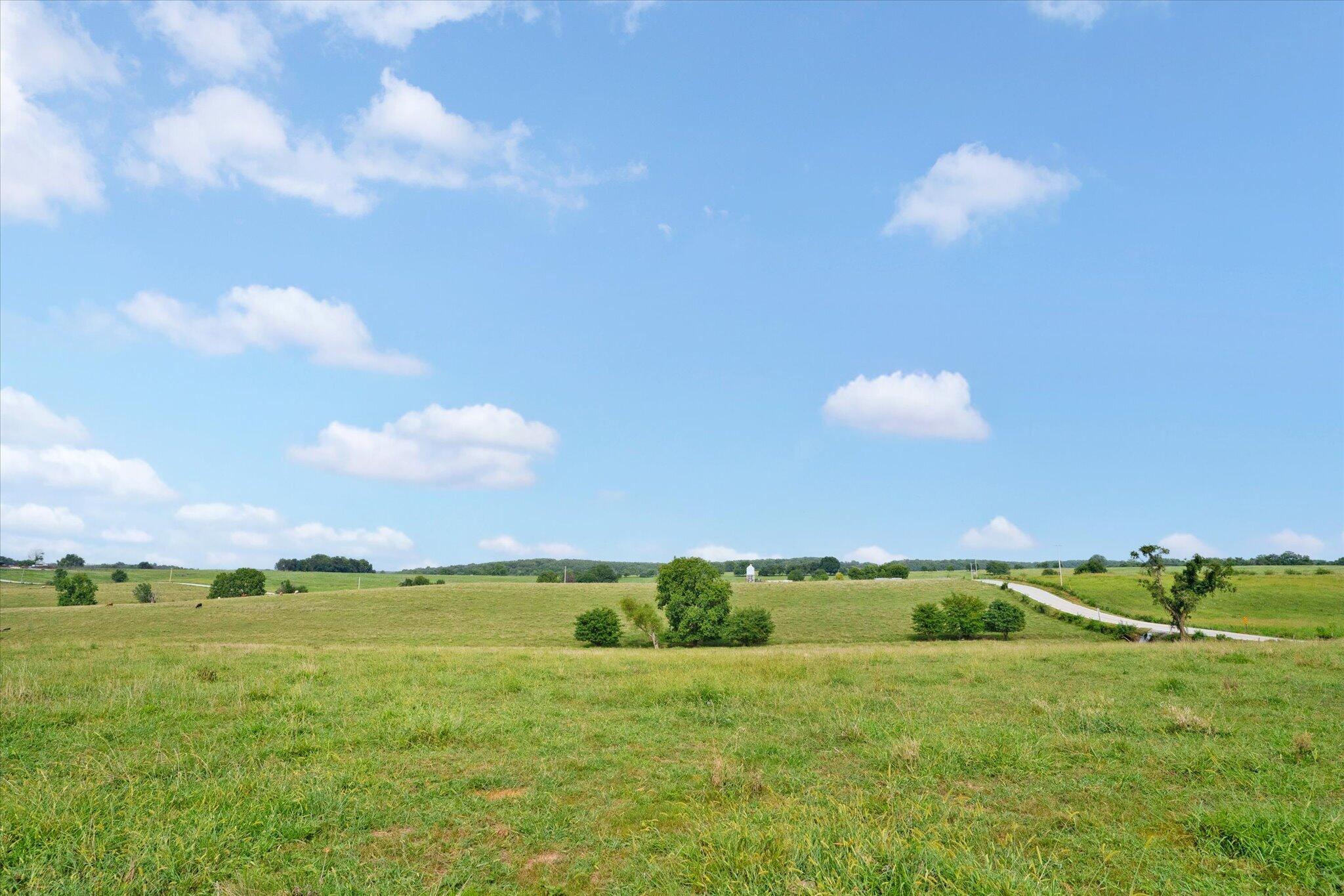 Photo 19 - Land for sale – 9749 W Farm Road 22   Walnut Grove, MO