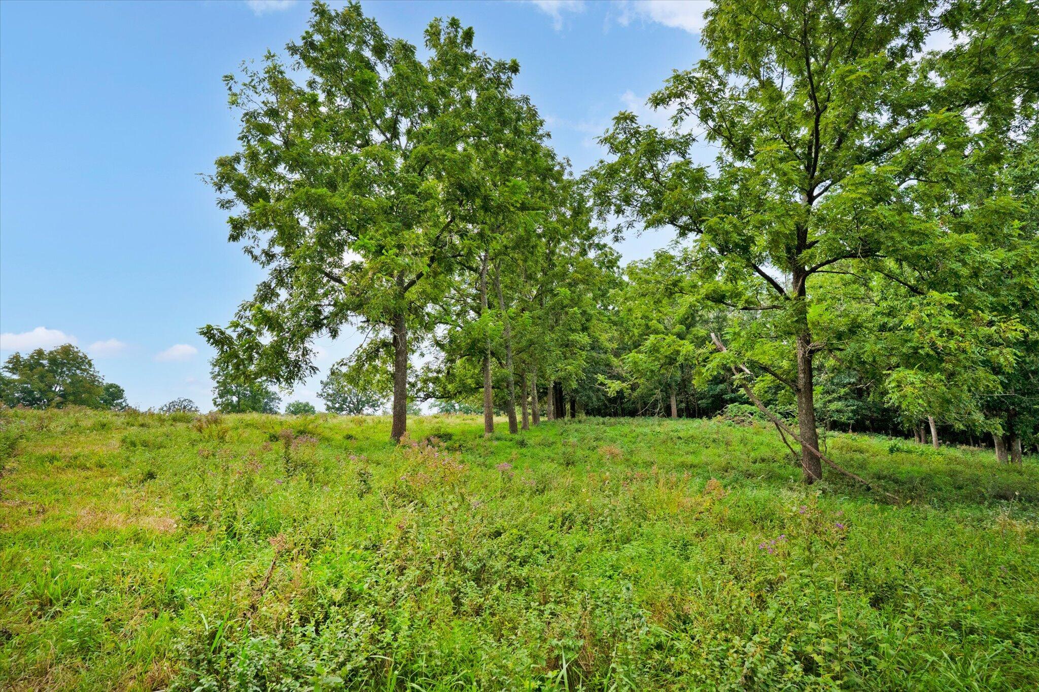Photo 29 - Land for sale – 9749 W Farm Road 22   Walnut Grove, MO