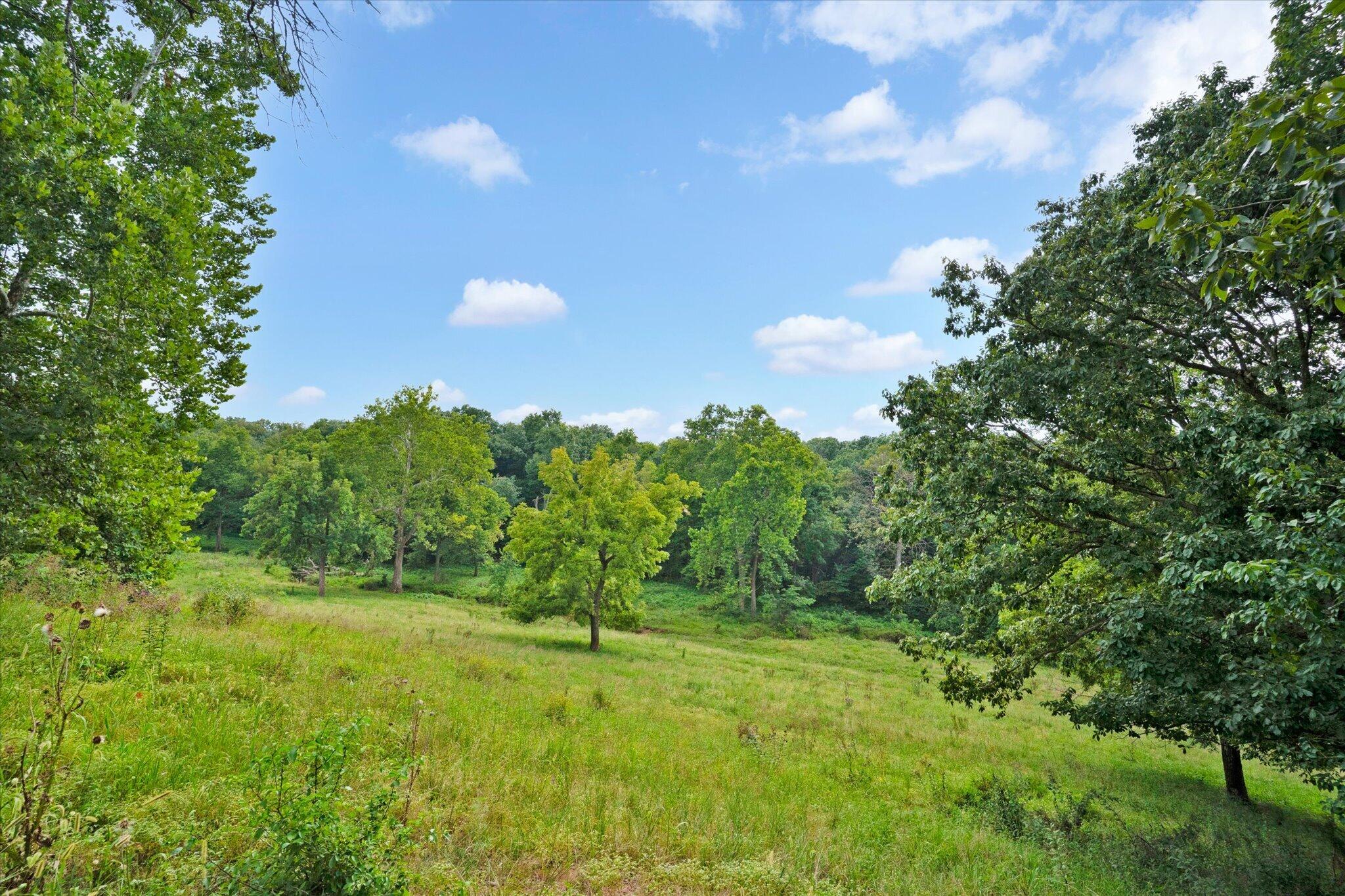 Photo 6 - Land for sale – 9749 W Farm Road 22   Walnut Grove, MO