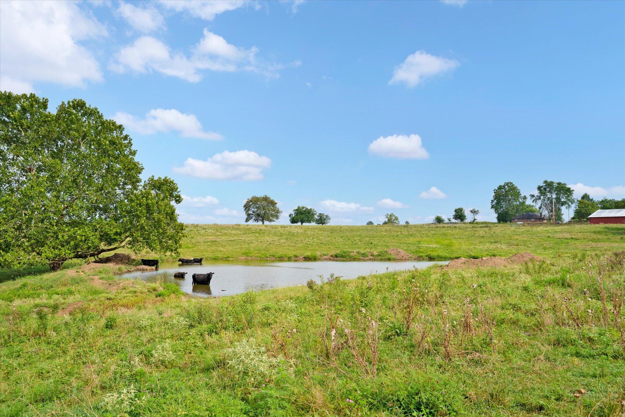 Photo 7 - Land for sale – 9749 W Farm Road 22   Walnut Grove, MO