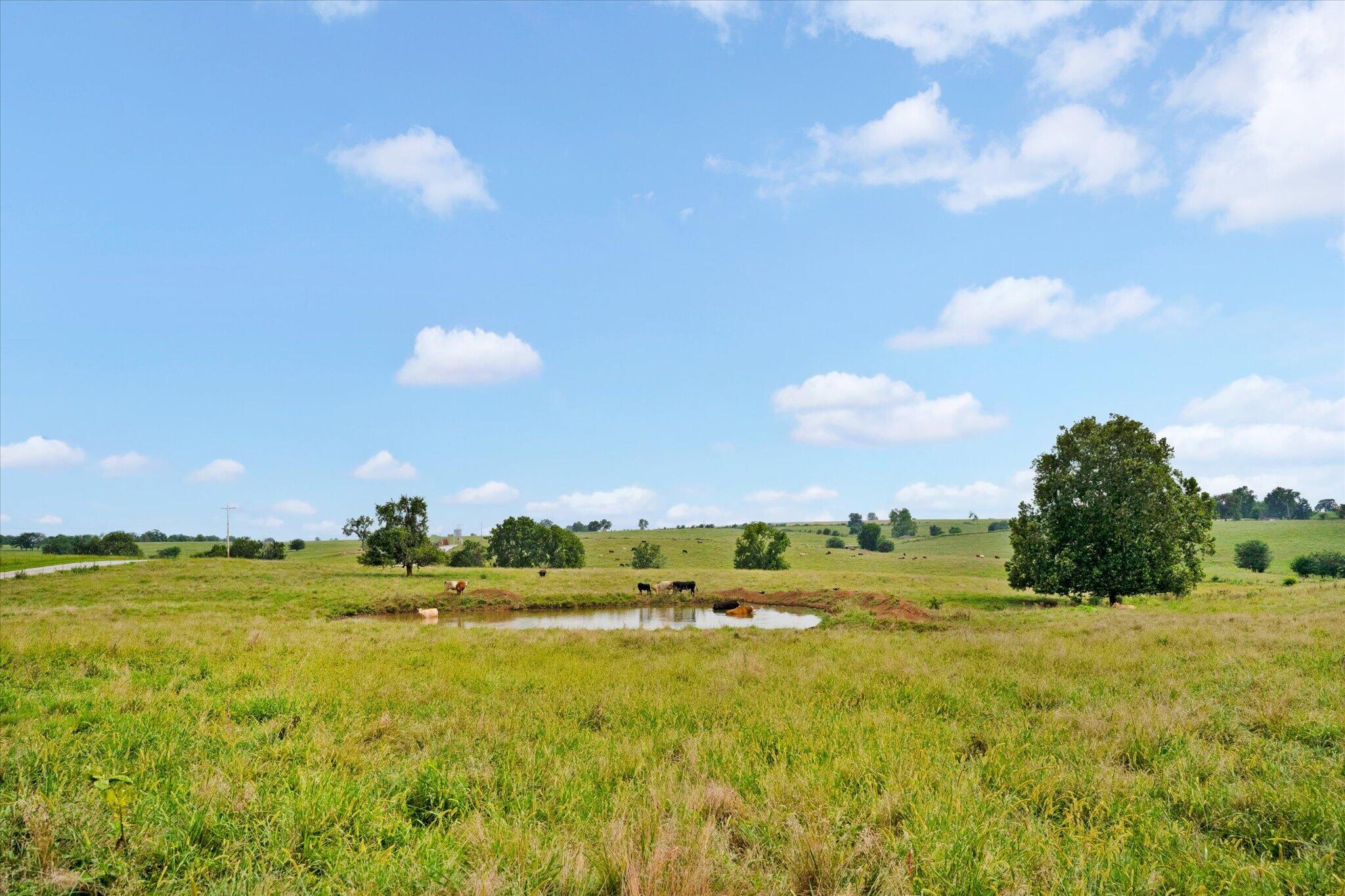 Photo 24 - Land for sale – 9749 W Farm Road 22   Walnut Grove, MO
