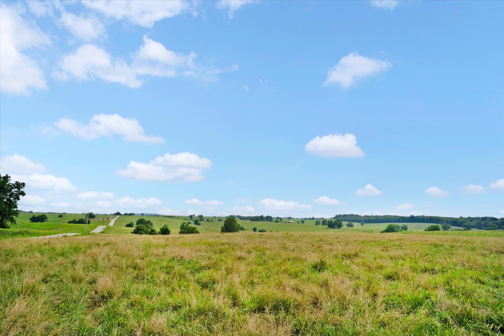 Photo 23 - Land for sale – 9749 W Farm Road 22   Walnut Grove, MO