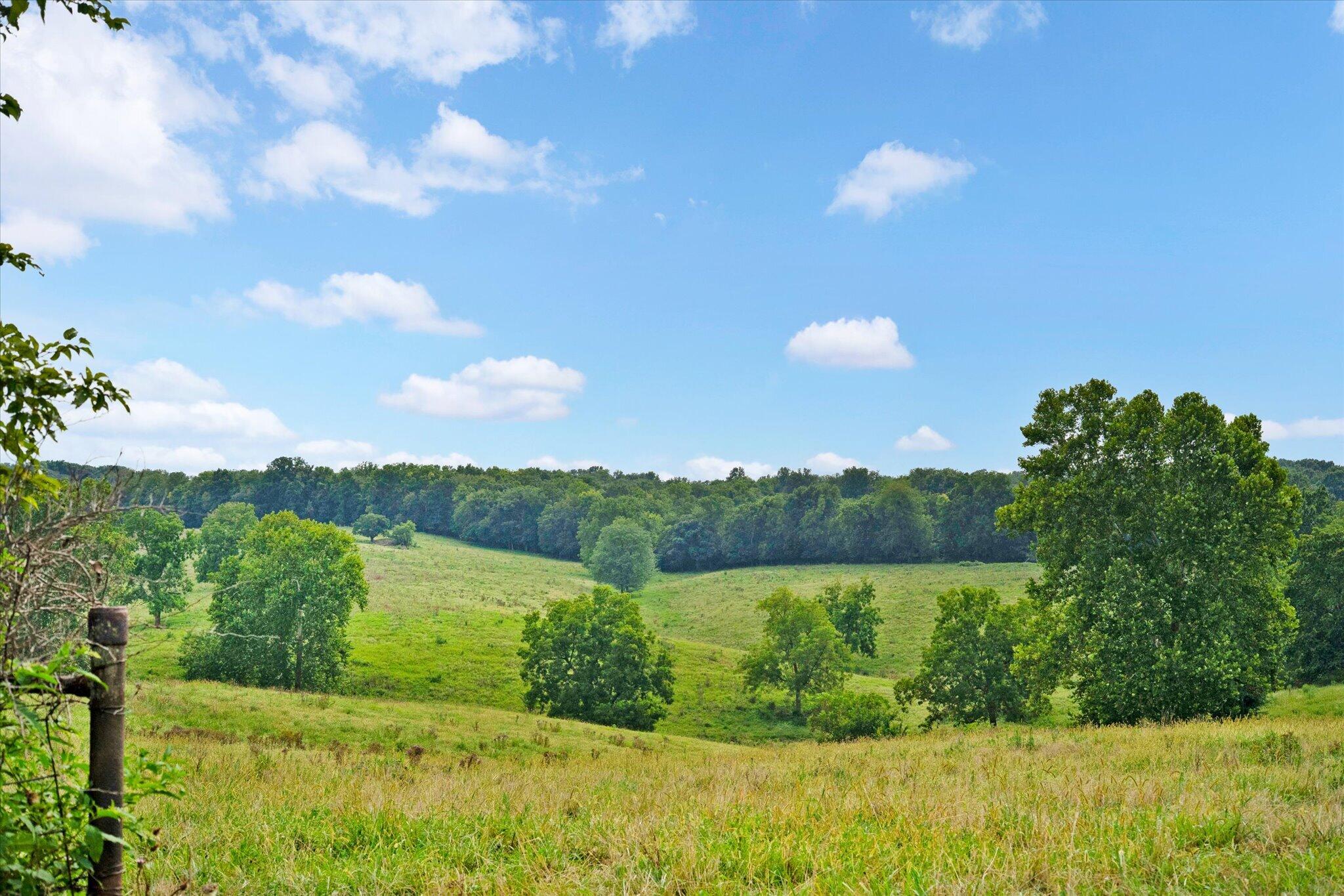 Photo 3 - Land for sale – 9749 W Farm Road 22   Walnut Grove, MO