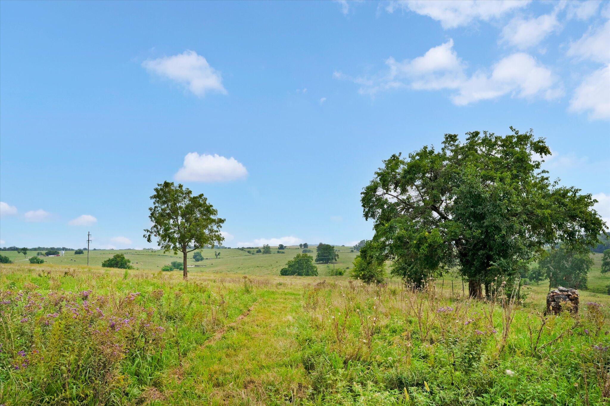 Photo 12 - Land for sale – 9749 W Farm Road 22   Walnut Grove, MO