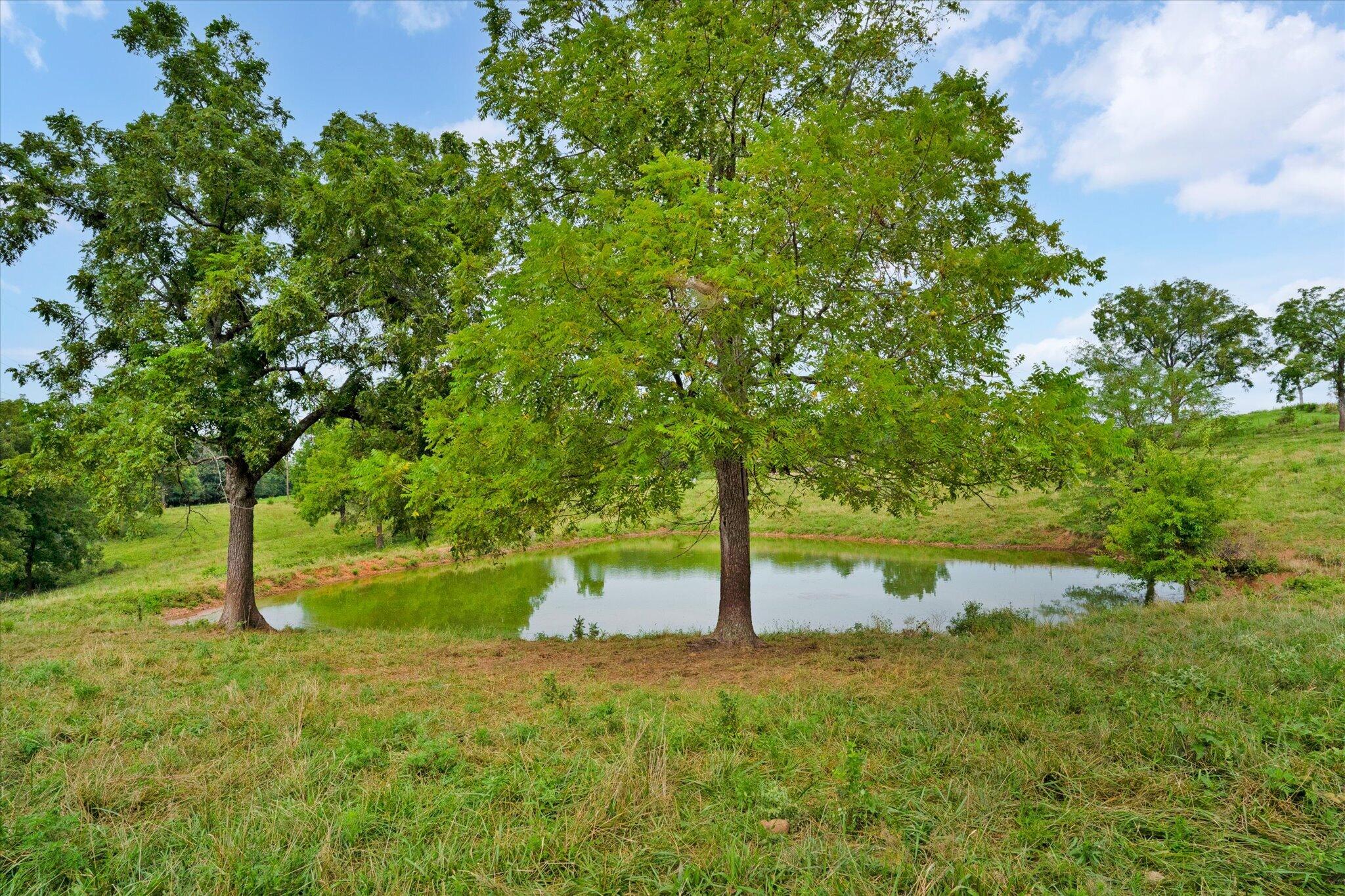 Photo 26 - Land for sale – 9749 W Farm Road 22   Walnut Grove, MO