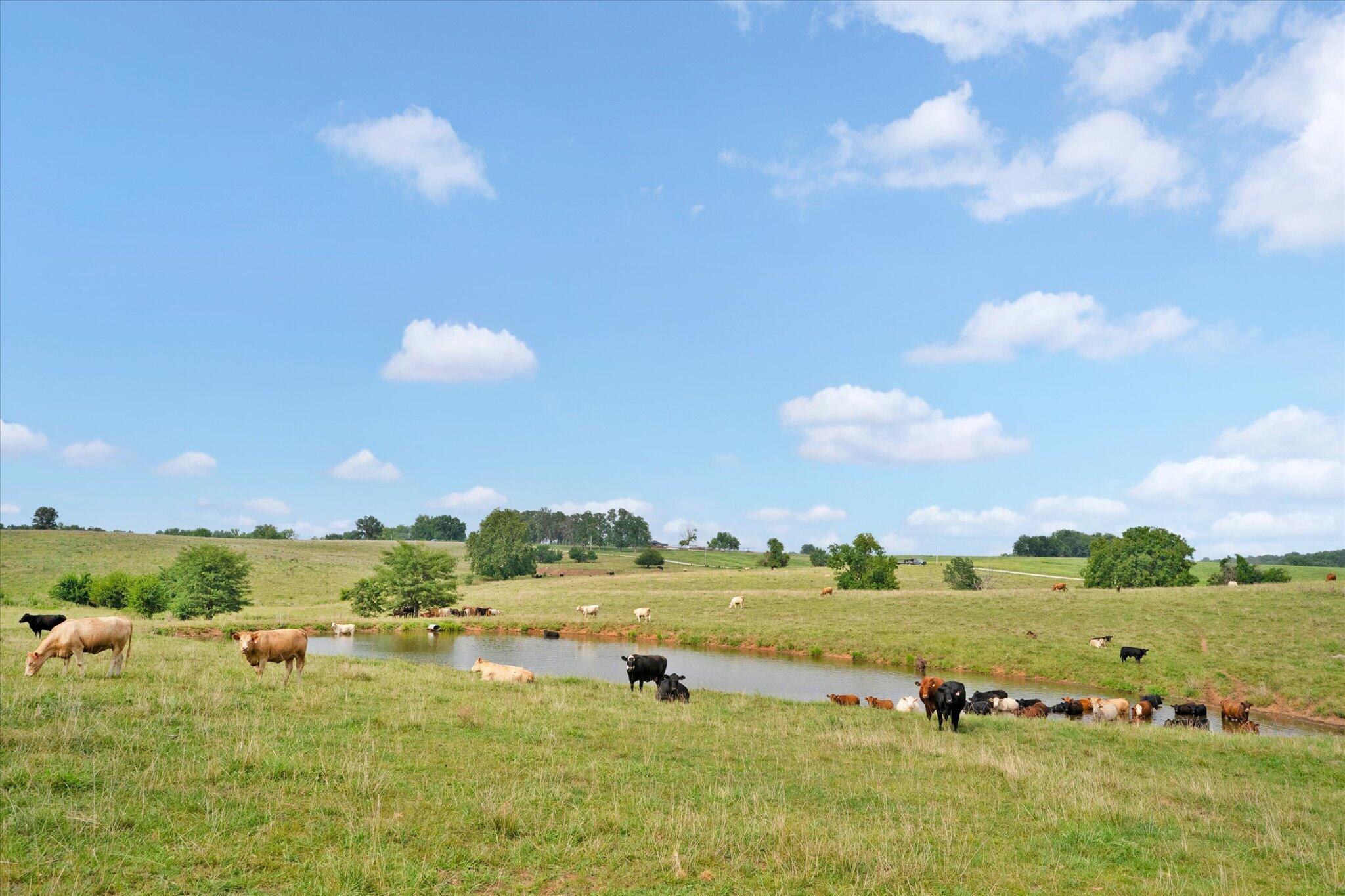 Photo 2 - Land for sale – 9749 W Farm Road 22   Walnut Grove, MO