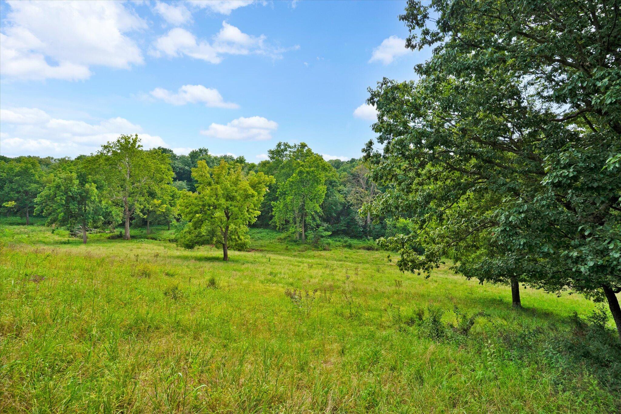 Photo 14 - Land for sale – 9749 W Farm Road 22   Walnut Grove, MO