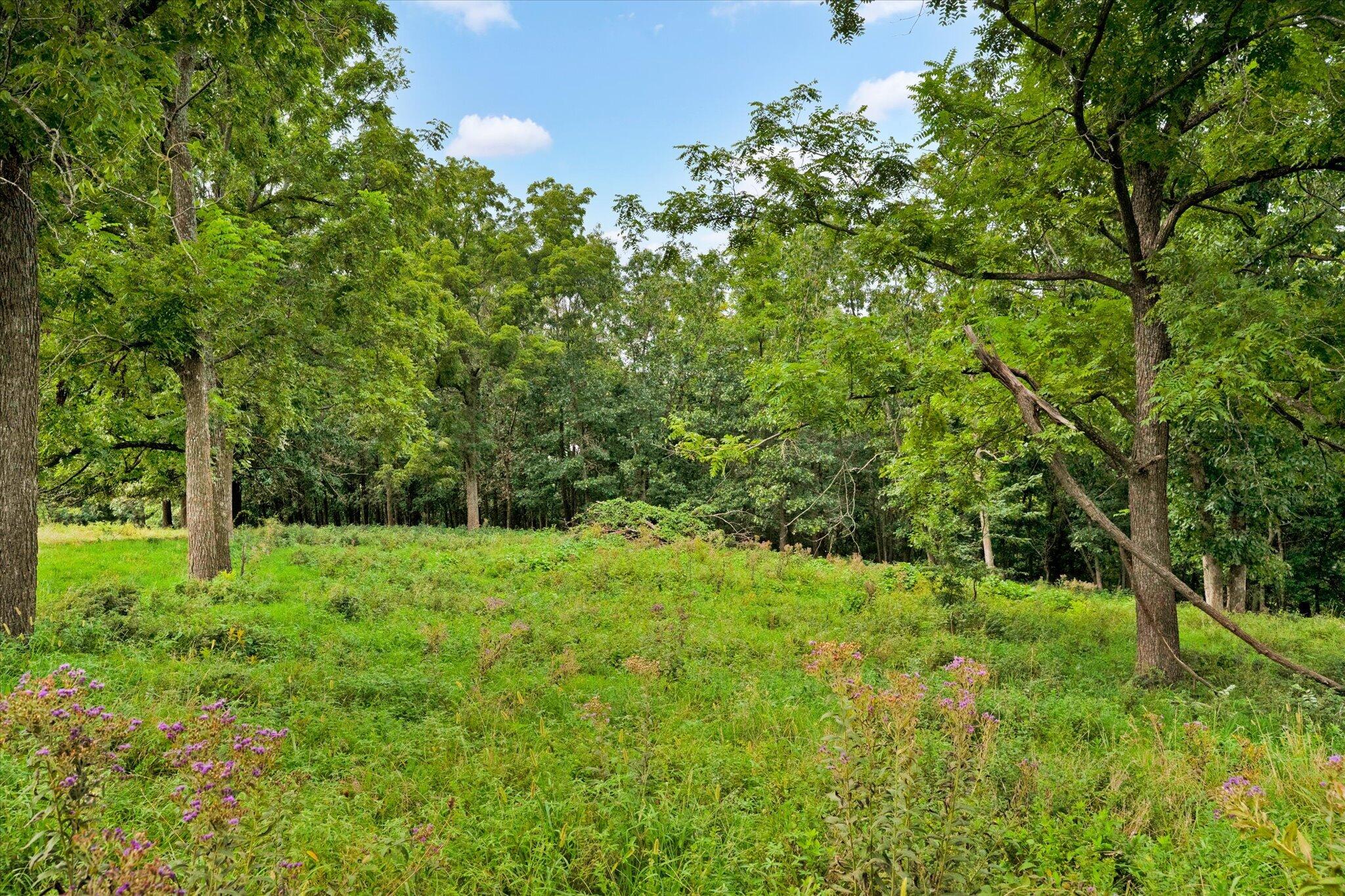 Photo 5 - Land for sale – 9749 W Farm Road 22   Walnut Grove, MO
