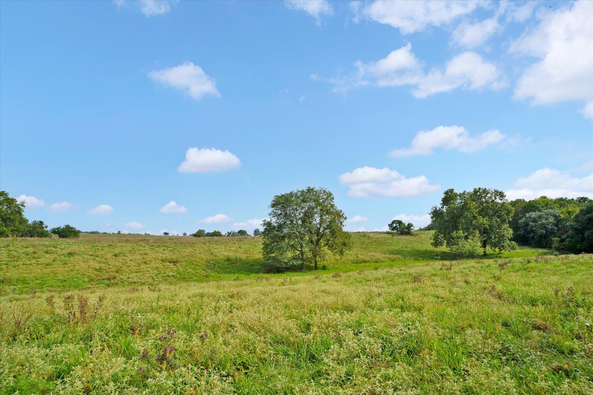 Photo 16 - Land for sale – 9749 W Farm Road 22   Walnut Grove, MO