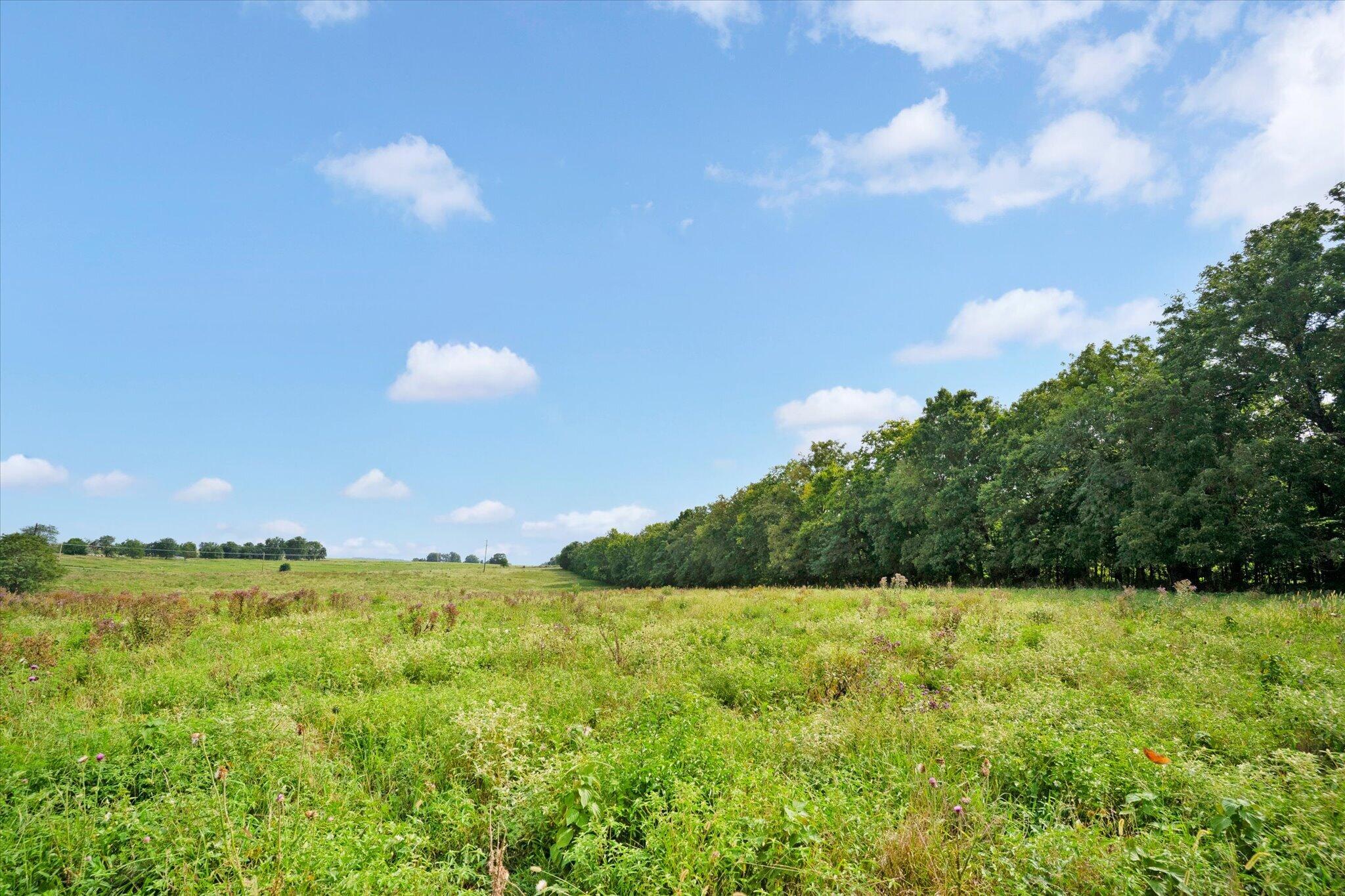 Photo 18 - Land for sale – 9749 W Farm Road 22   Walnut Grove, MO