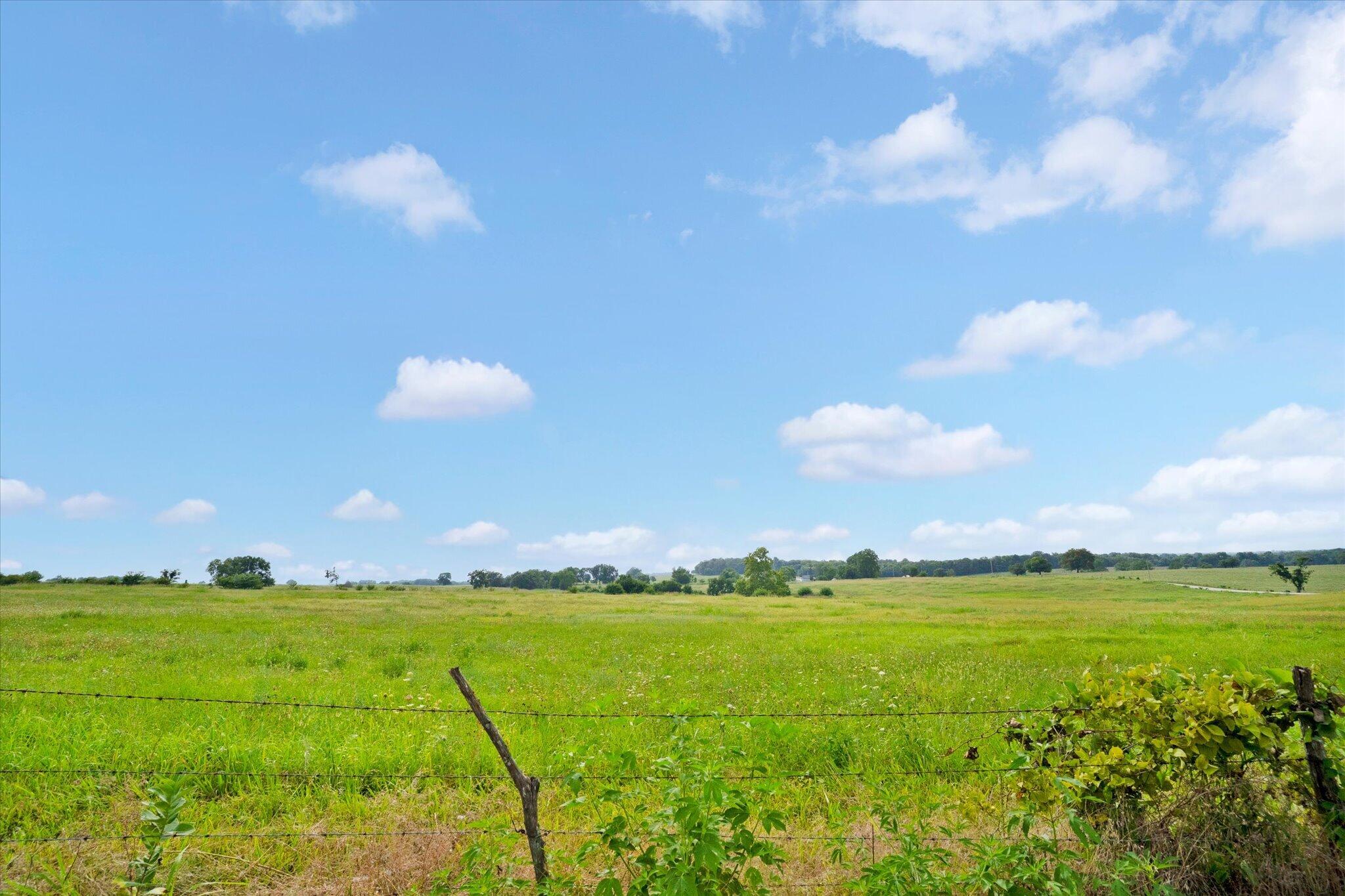 Photo 22 - Land for sale – 9749 W Farm Road 22   Walnut Grove, MO