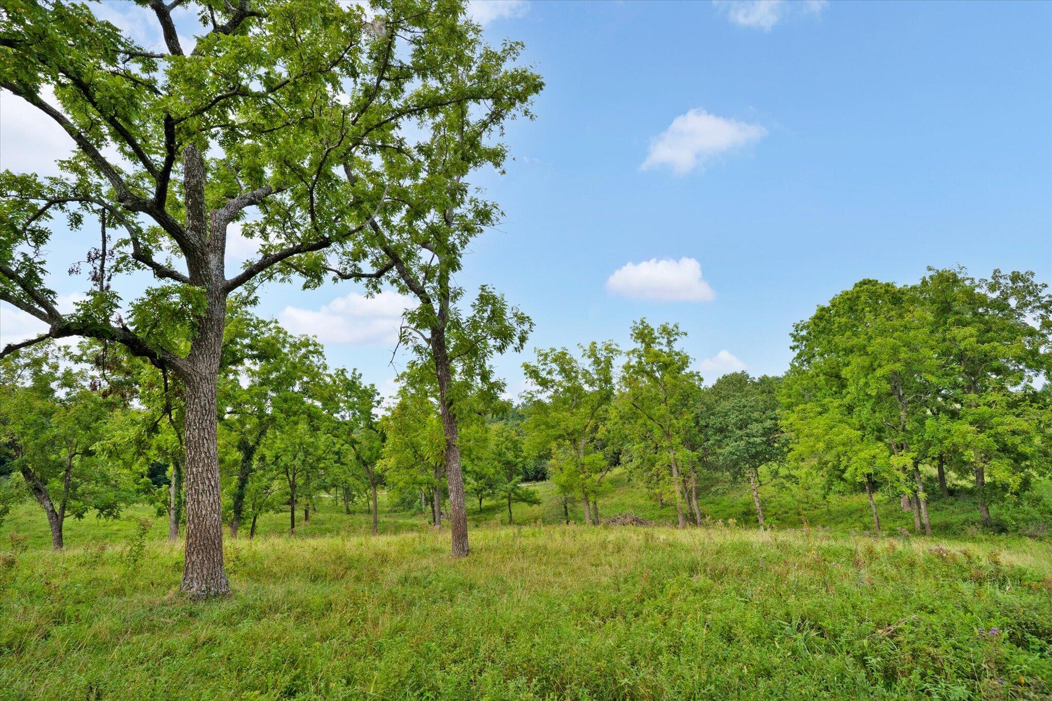 Photo 27 - Land for sale – 9749 W Farm Road 22   Walnut Grove, MO