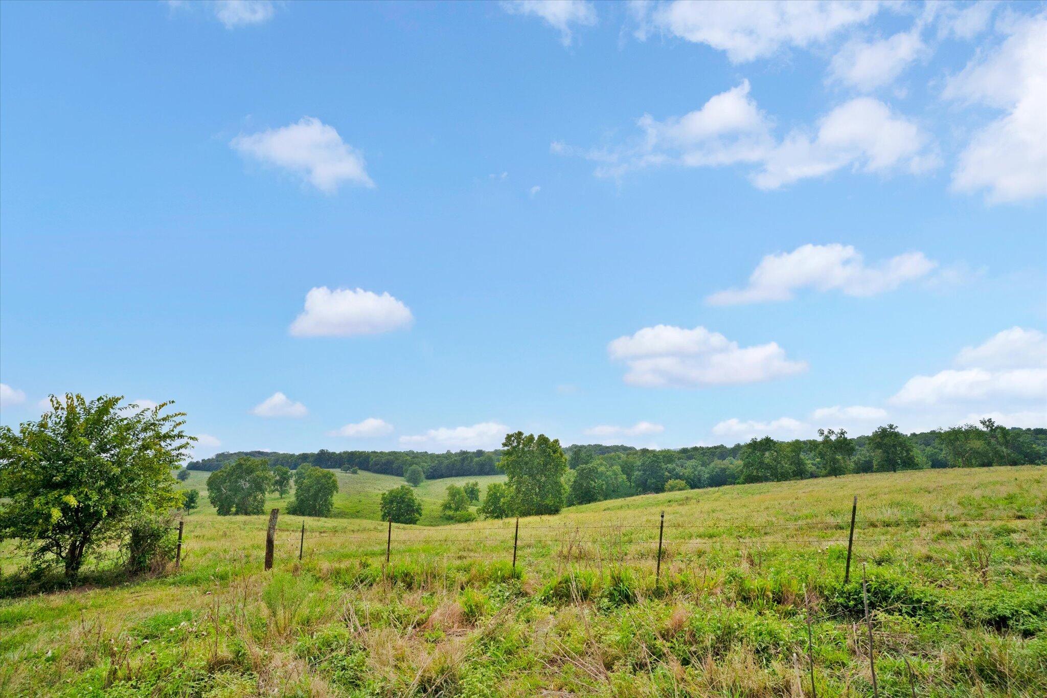 Photo 13 - Land for sale – 9749 W Farm Road 22   Walnut Grove, MO