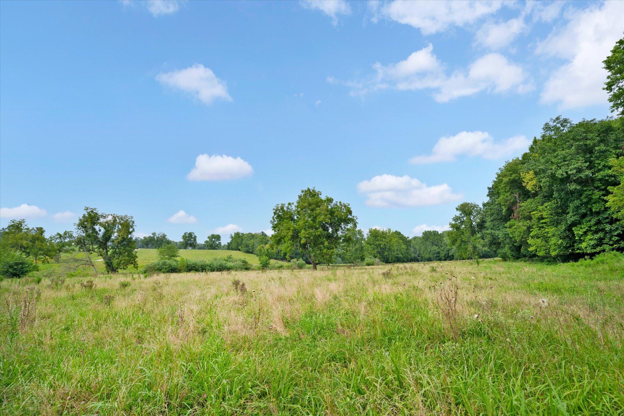 Photo 4 - Land for sale – 9749 W Farm Road 22   Walnut Grove, MO