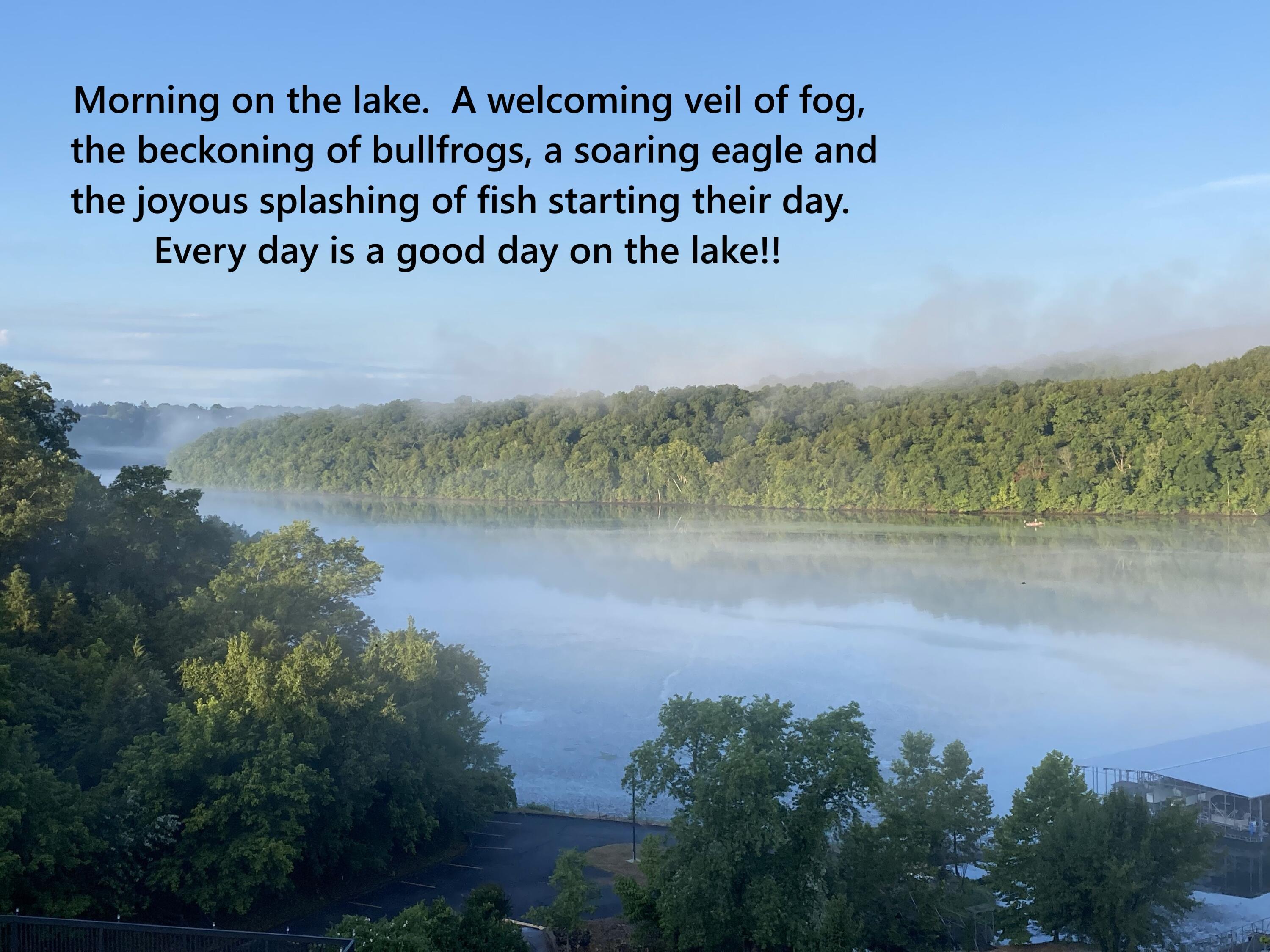 Photo 92 - Residential for sale – 150  Sunken Forest Dr.  8-211   Forsyth, MO