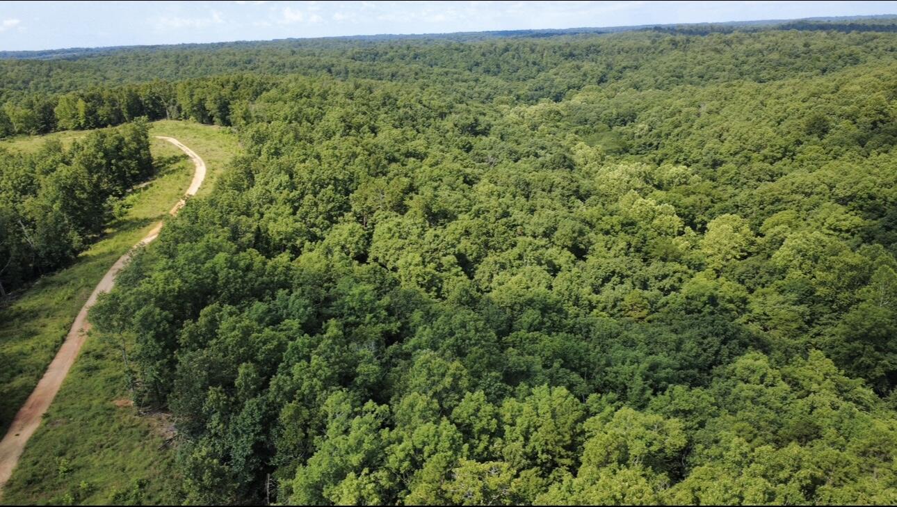Photo 2 - Land for sale – 632  Private Road 421-35   West Plains, MO
