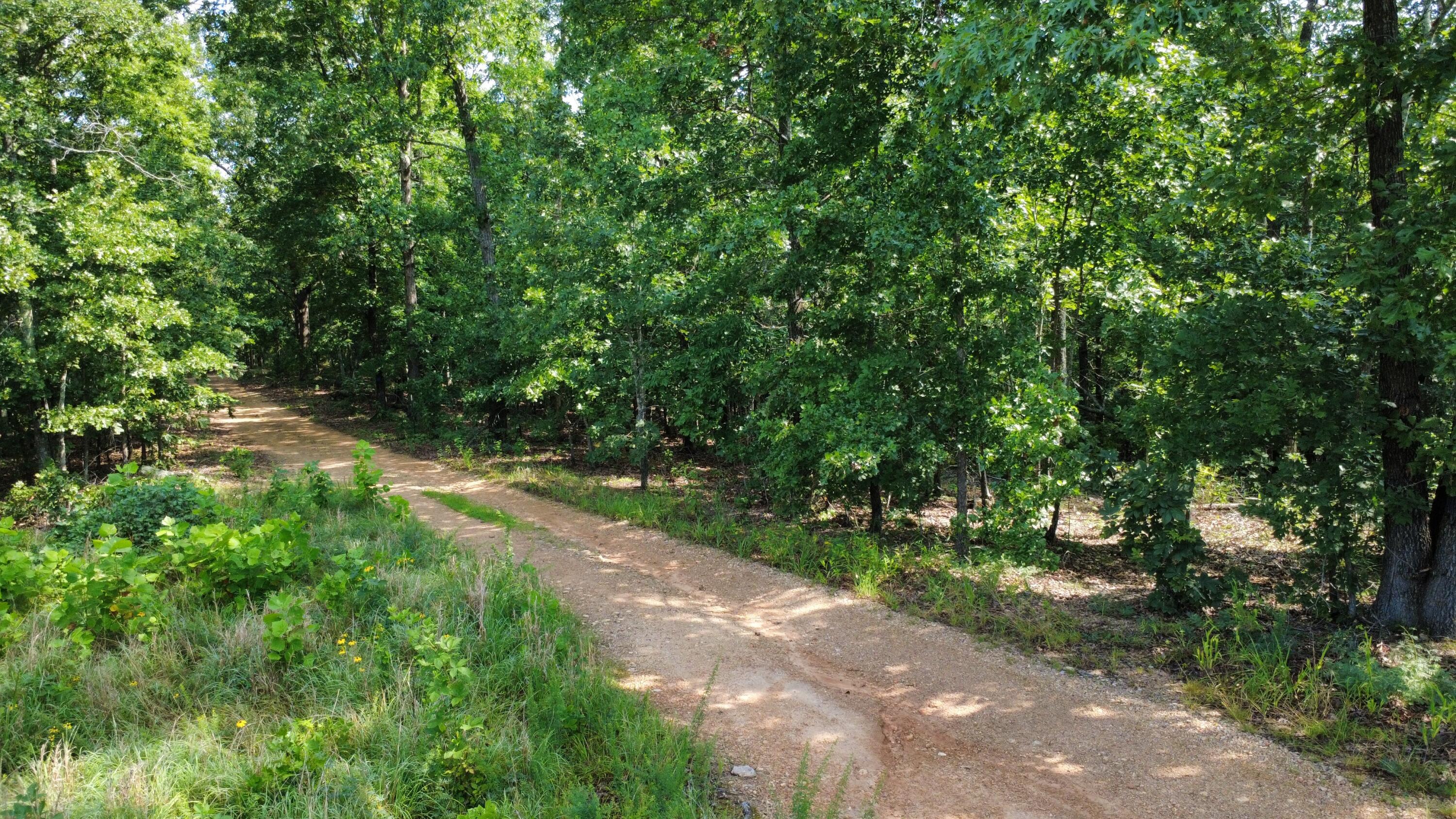 Photo 12 - Land for sale – 632  Private Road 421-35   West Plains, MO