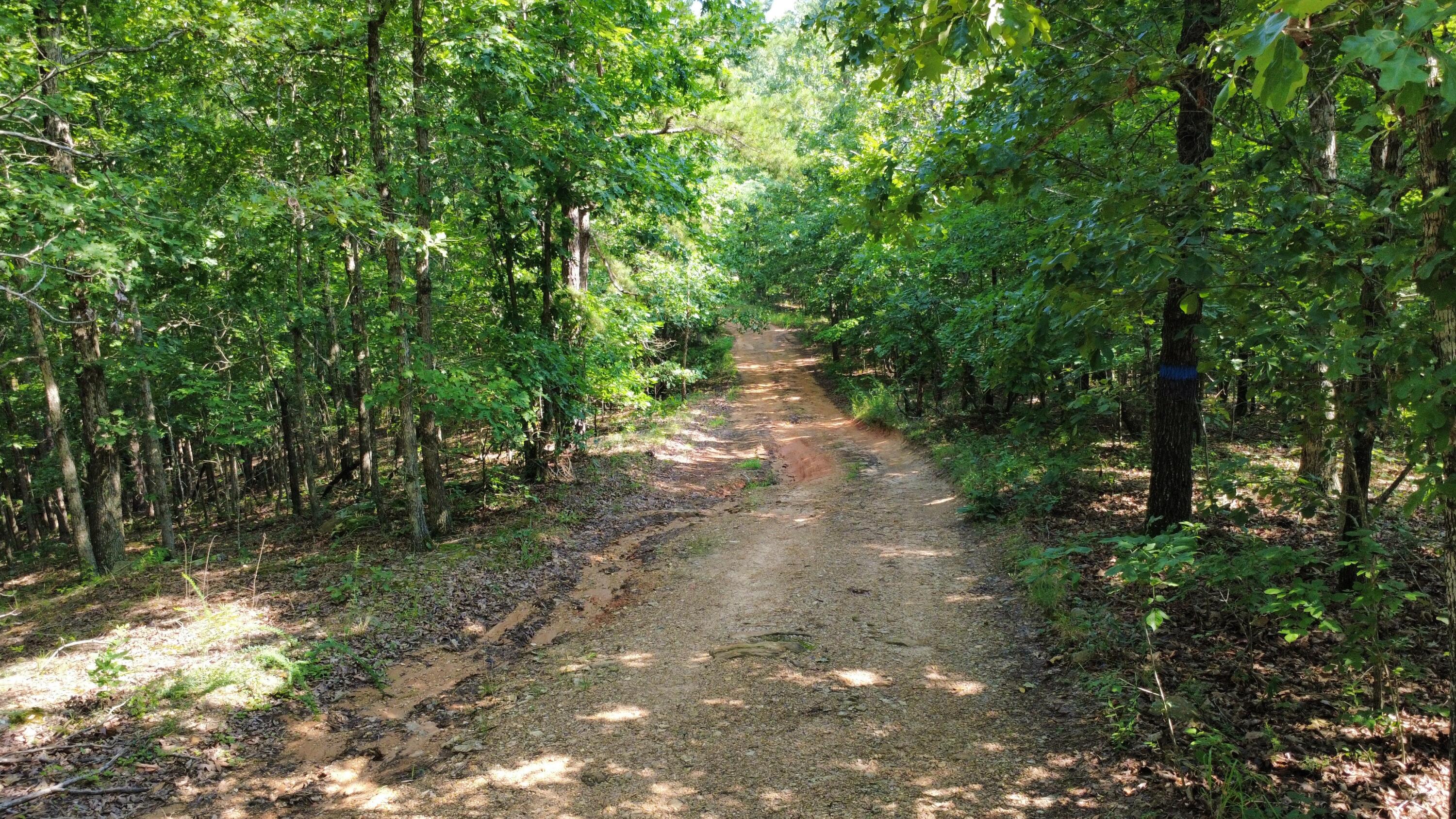 Photo 16 - Land for sale – 632  Private Road 421-35   West Plains, MO