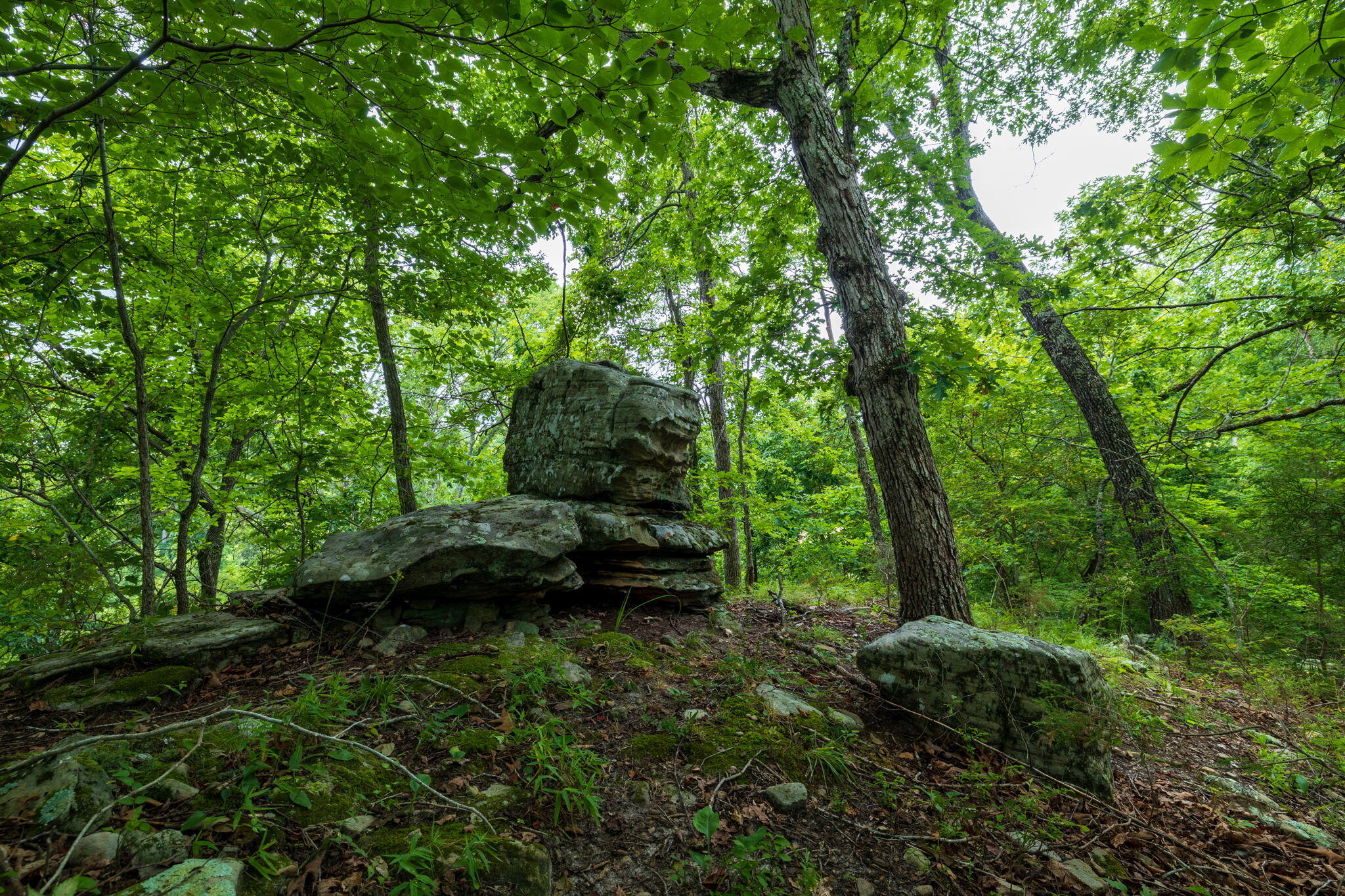 Photo 45 - Land for sale – Rt 3  Box 240-4   Ava, MO