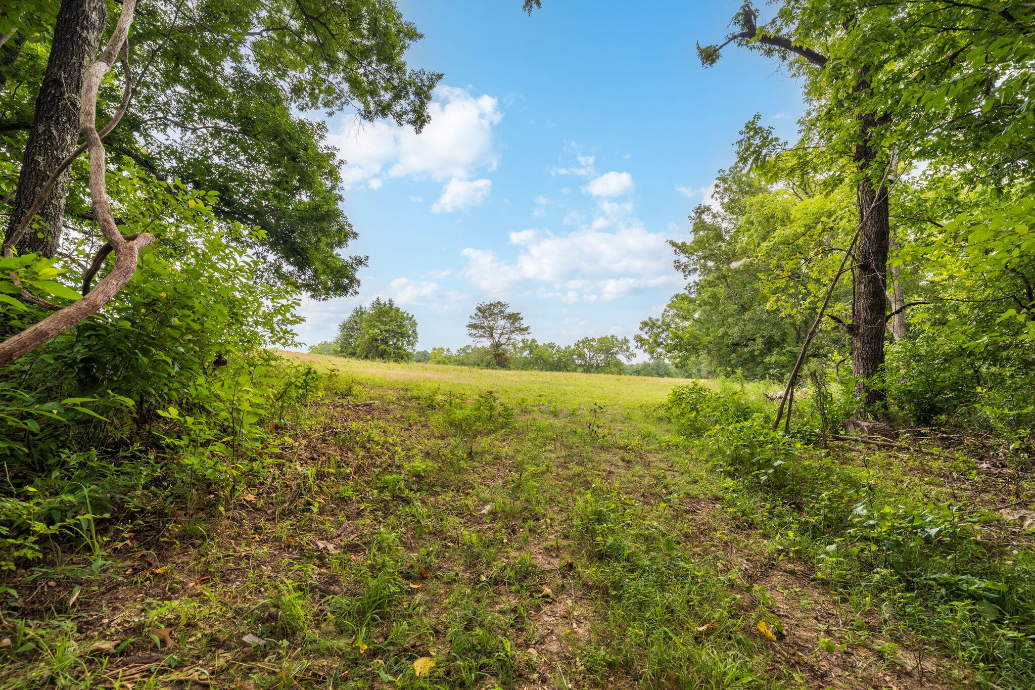 Photo 42 - Land for sale – Rt 3  Box 240-4   Ava, MO