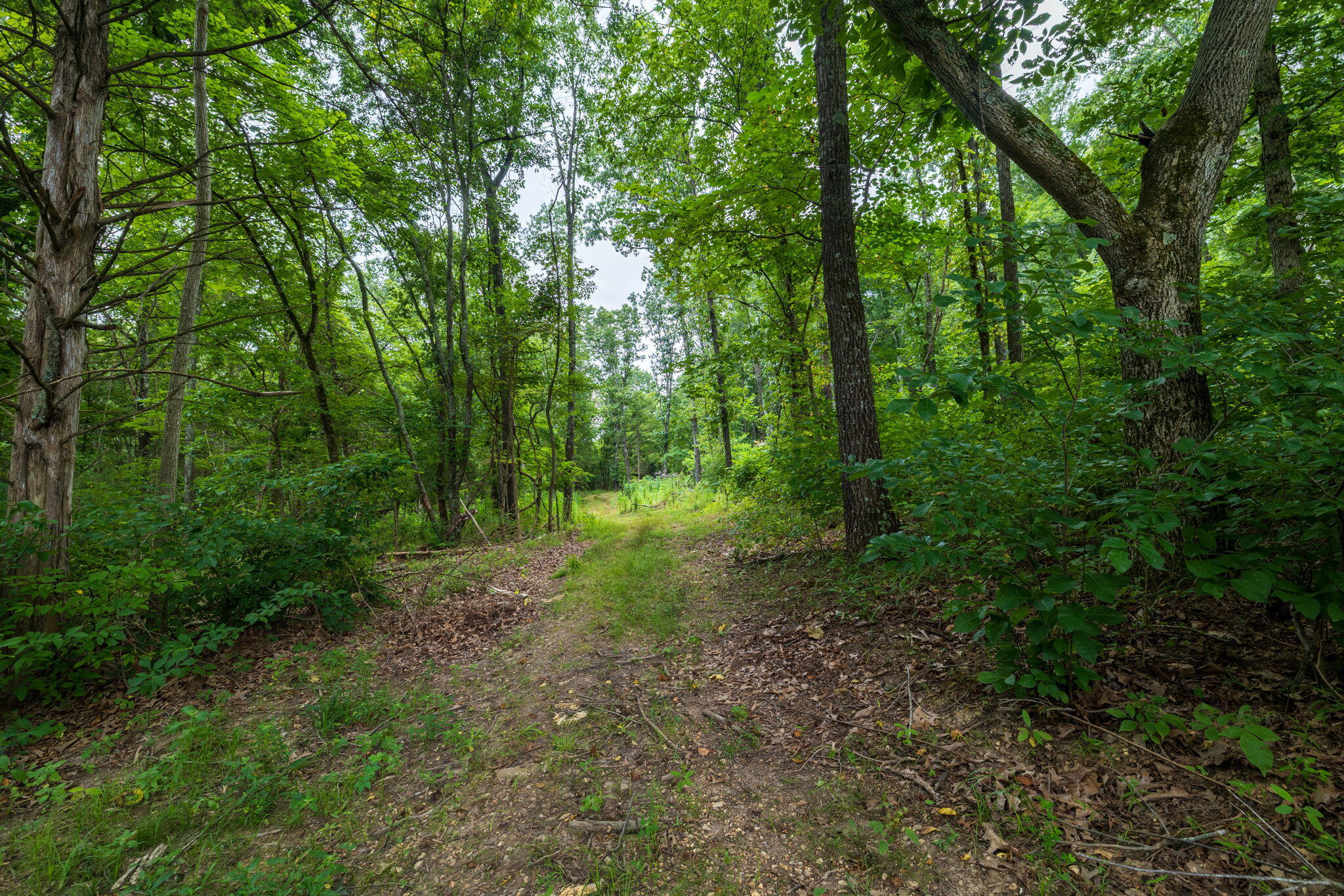 Photo 47 - Land for sale – Rt 3  Box 240-4   Ava, MO