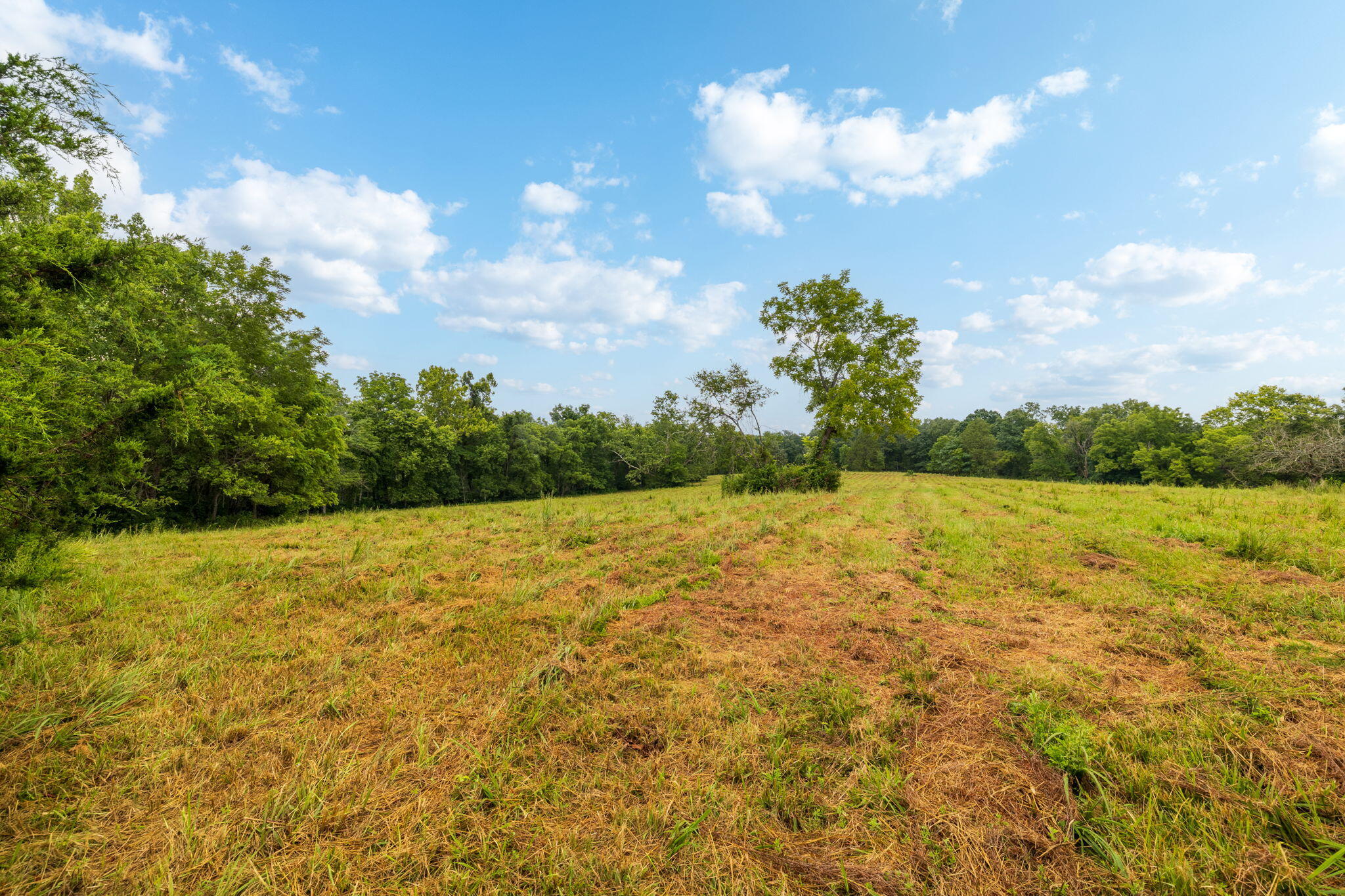 Photo 38 - Land for sale – Rt 3  Box 240-4   Ava, MO