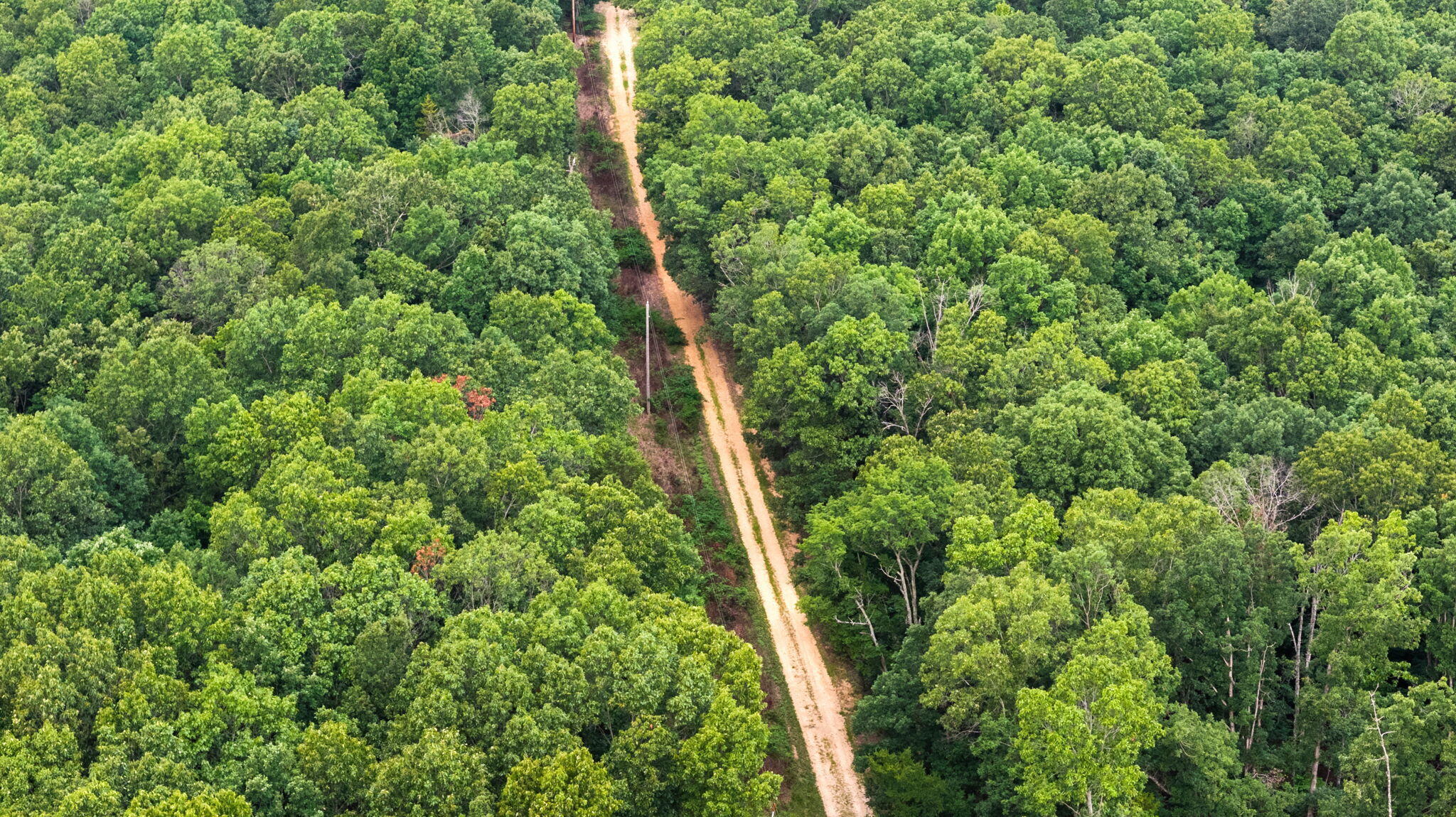 Photo 6 - Land for sale – Rt 3  Box 240-4   Ava, MO