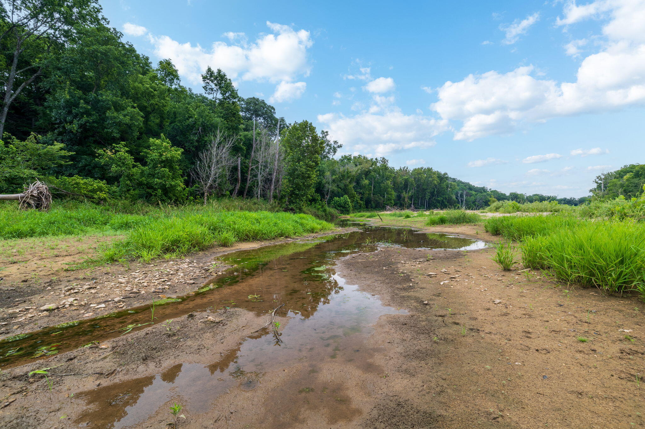 Photo 27 - Land for sale – Rt 3  Box 240-4   Ava, MO