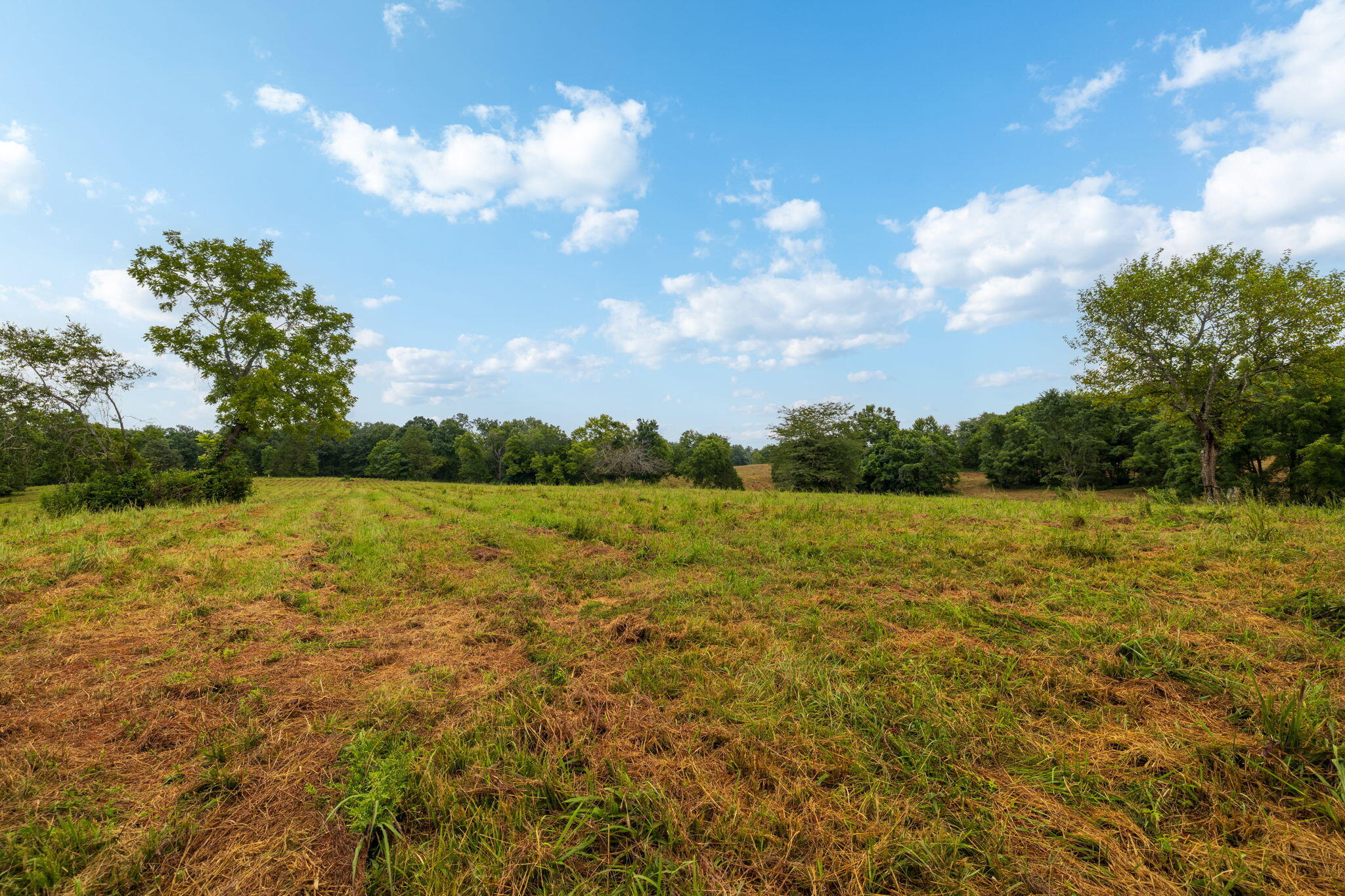 Photo 39 - Land for sale – Rt 3  Box 240-4   Ava, MO