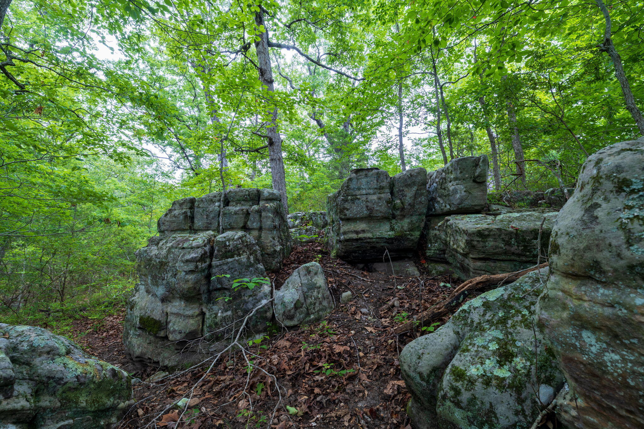 Photo 44 - Land for sale – Rt 3  Box 240-4   Ava, MO