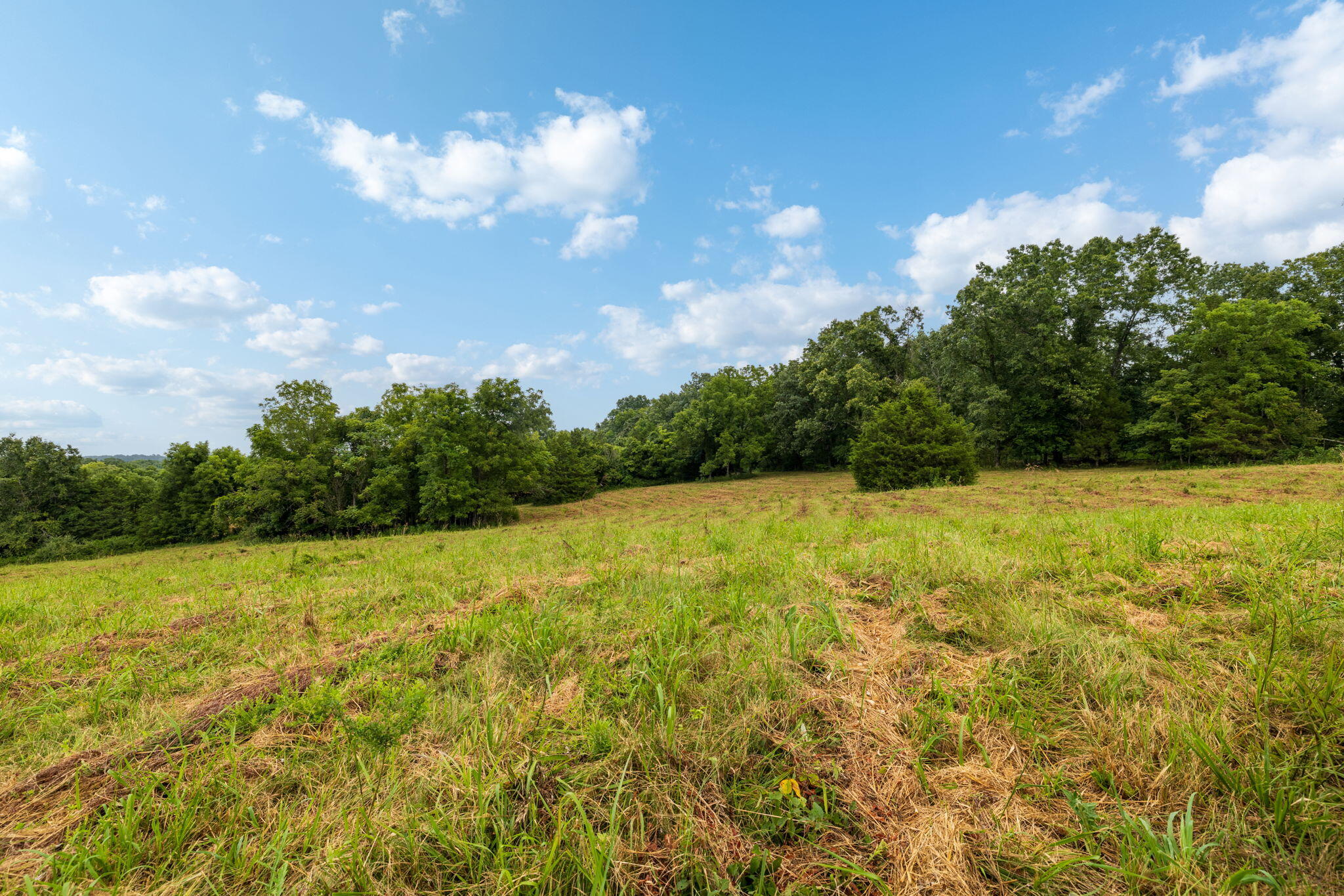 Photo 36 - Land for sale – Rt 3  Box 240-4   Ava, MO