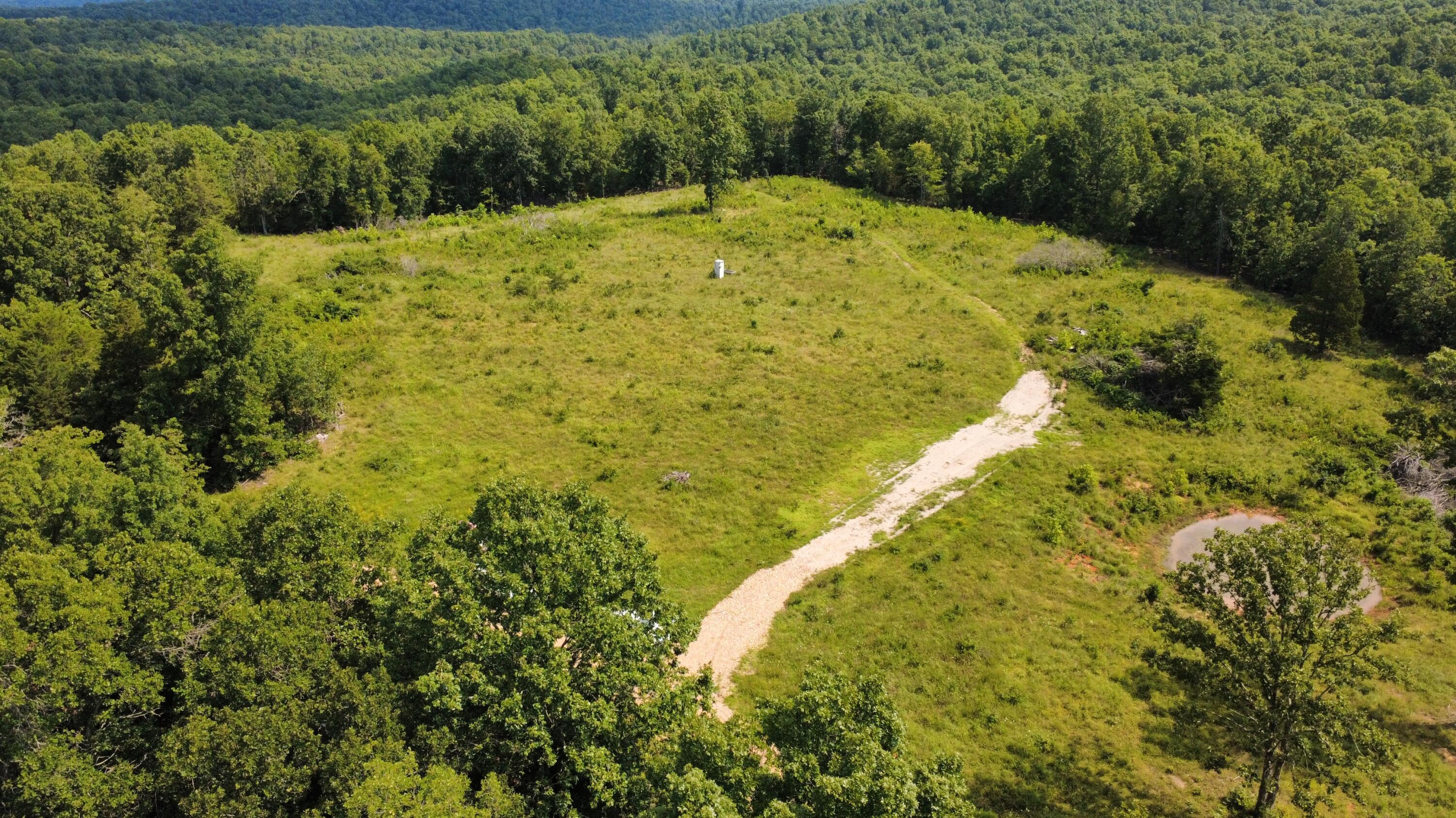 Photo 7 - Land for sale – 000  Private Road 421-35   West Plains, MO