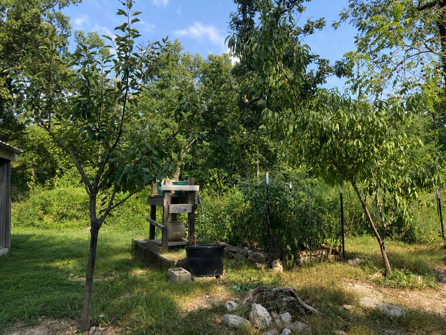 Photo 2 - Land for sale – 17530  Highway Y   Elk Creek, MO