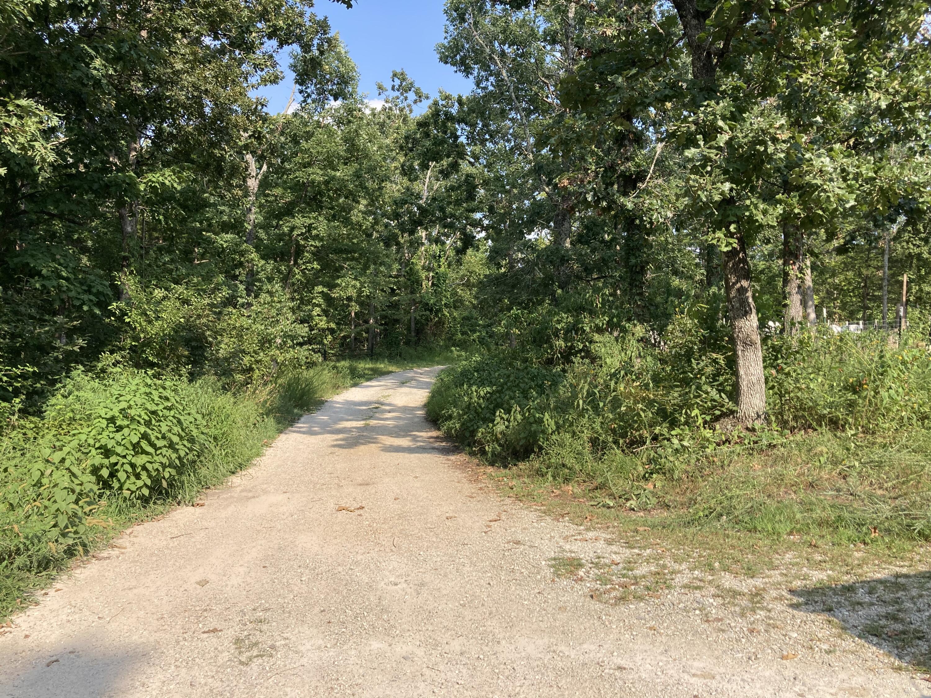 Photo 33 - Land for sale – 17530  Highway Y   Elk Creek, MO
