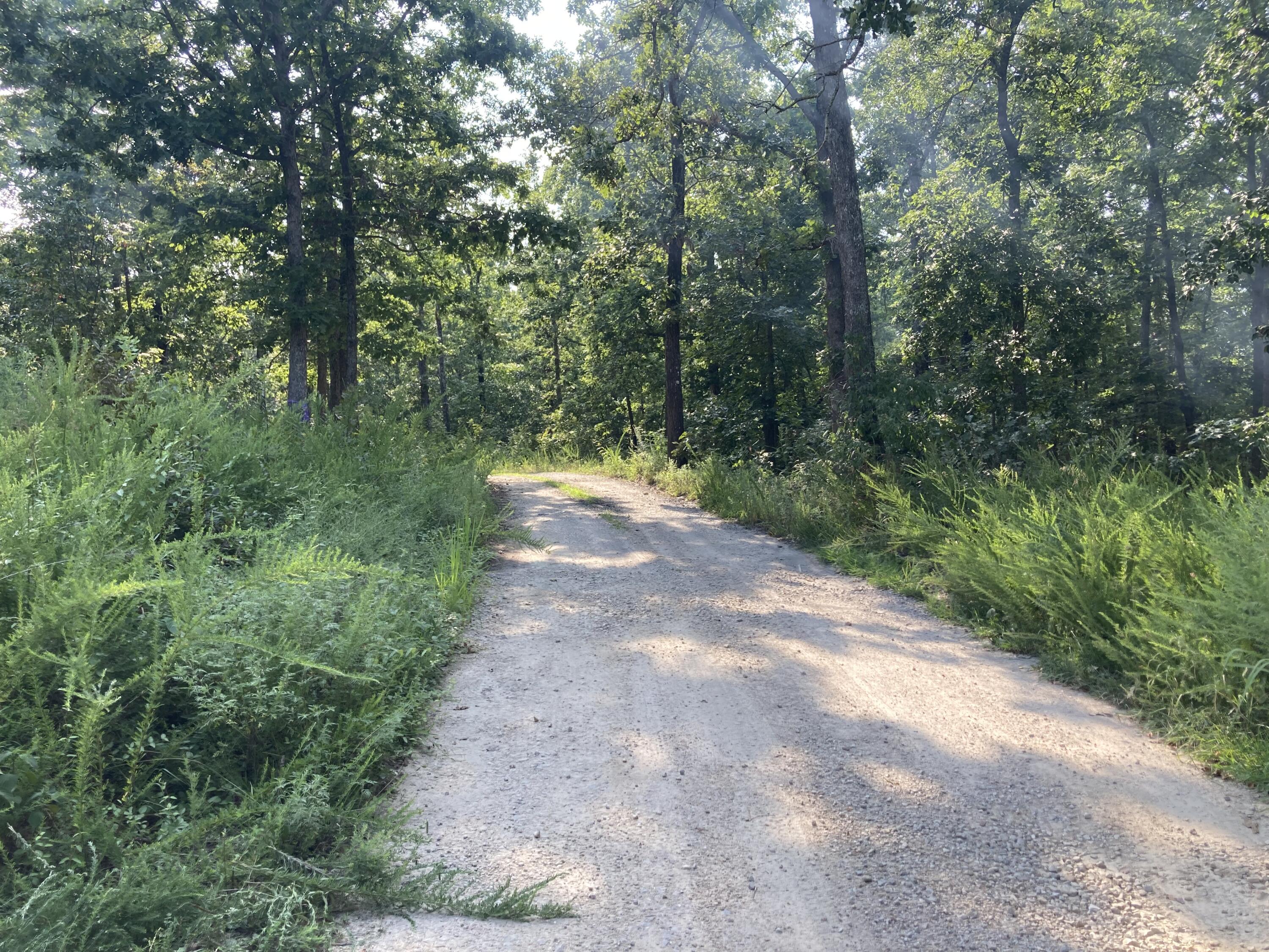 Photo 34 - Land for sale – 17530  Highway Y   Elk Creek, MO