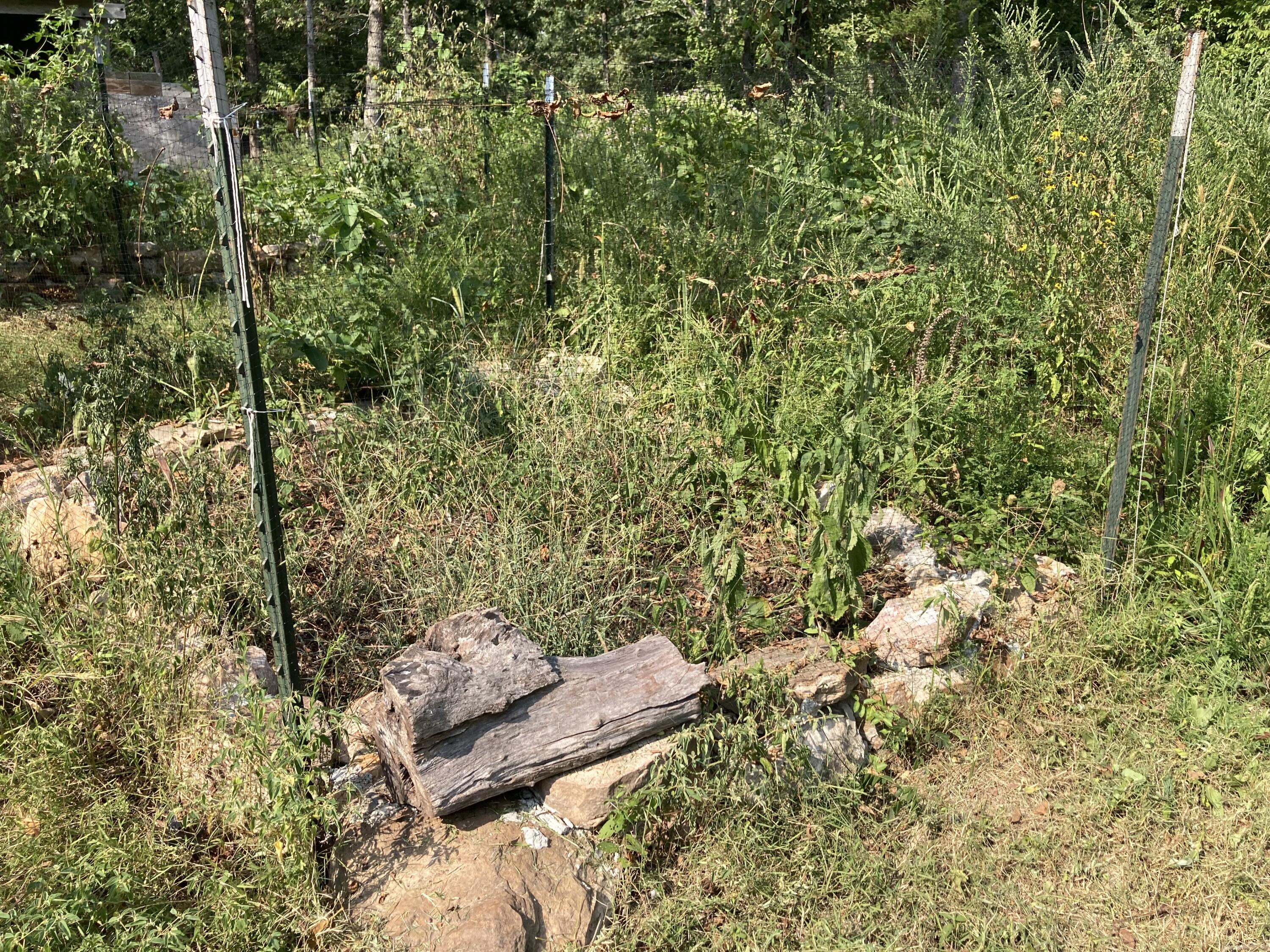 Photo 3 - Land for sale – 17530  Highway Y   Elk Creek, MO