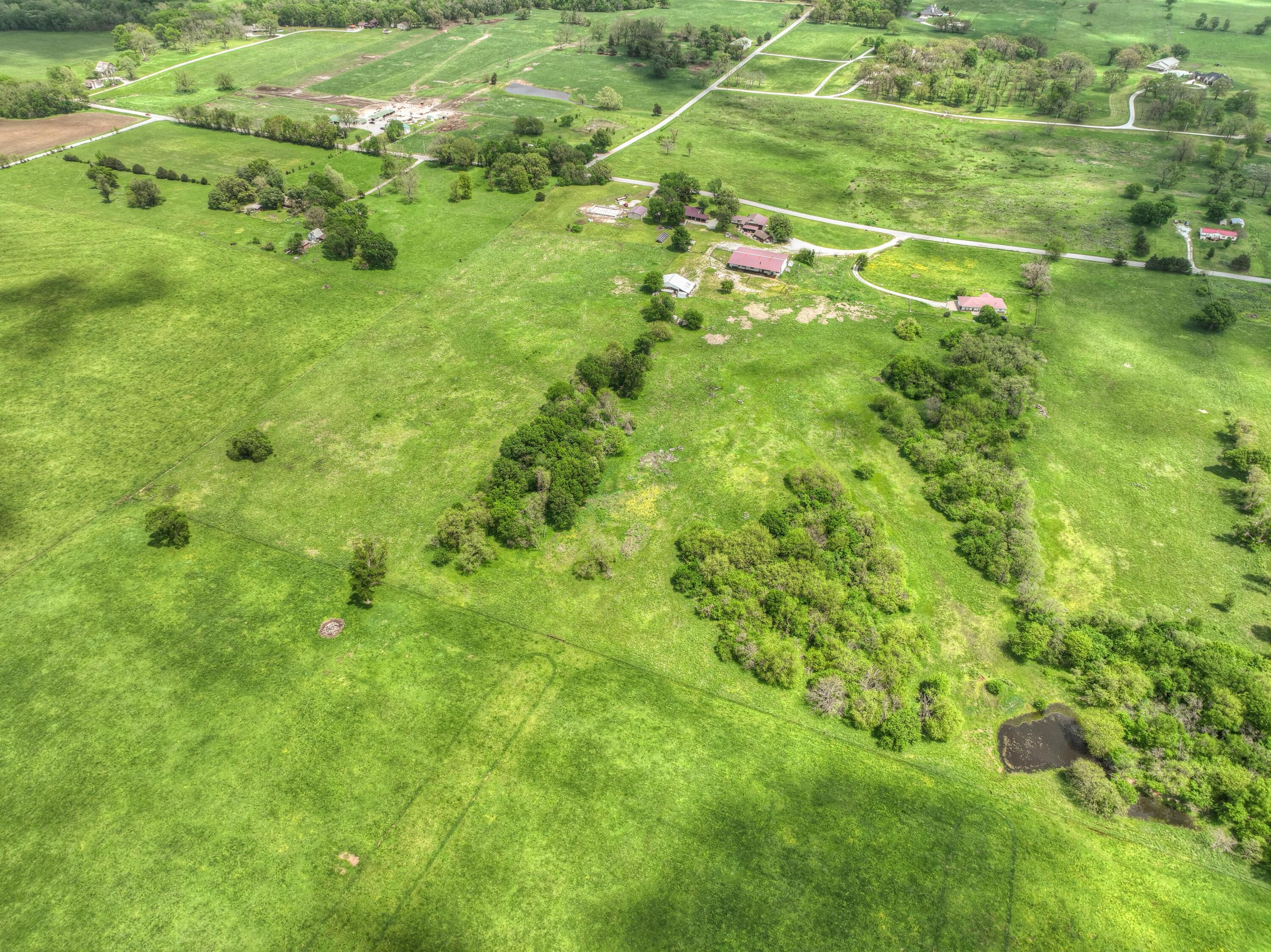 Photo 6 - Land for sale – Tbd  County Road 110   Carthage, MO