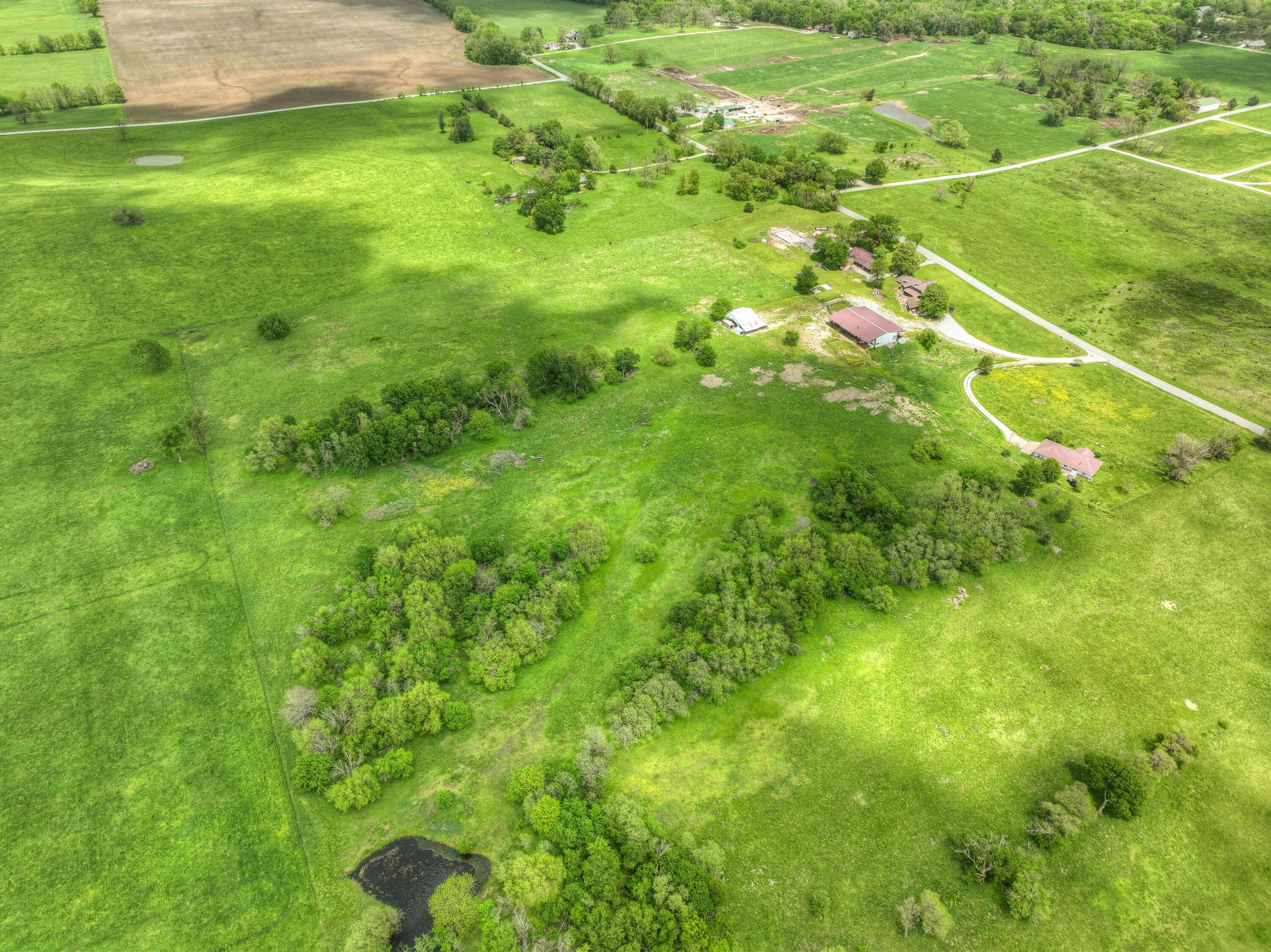 Photo 8 - Land for sale – Tbd  County Road 110   Carthage, MO