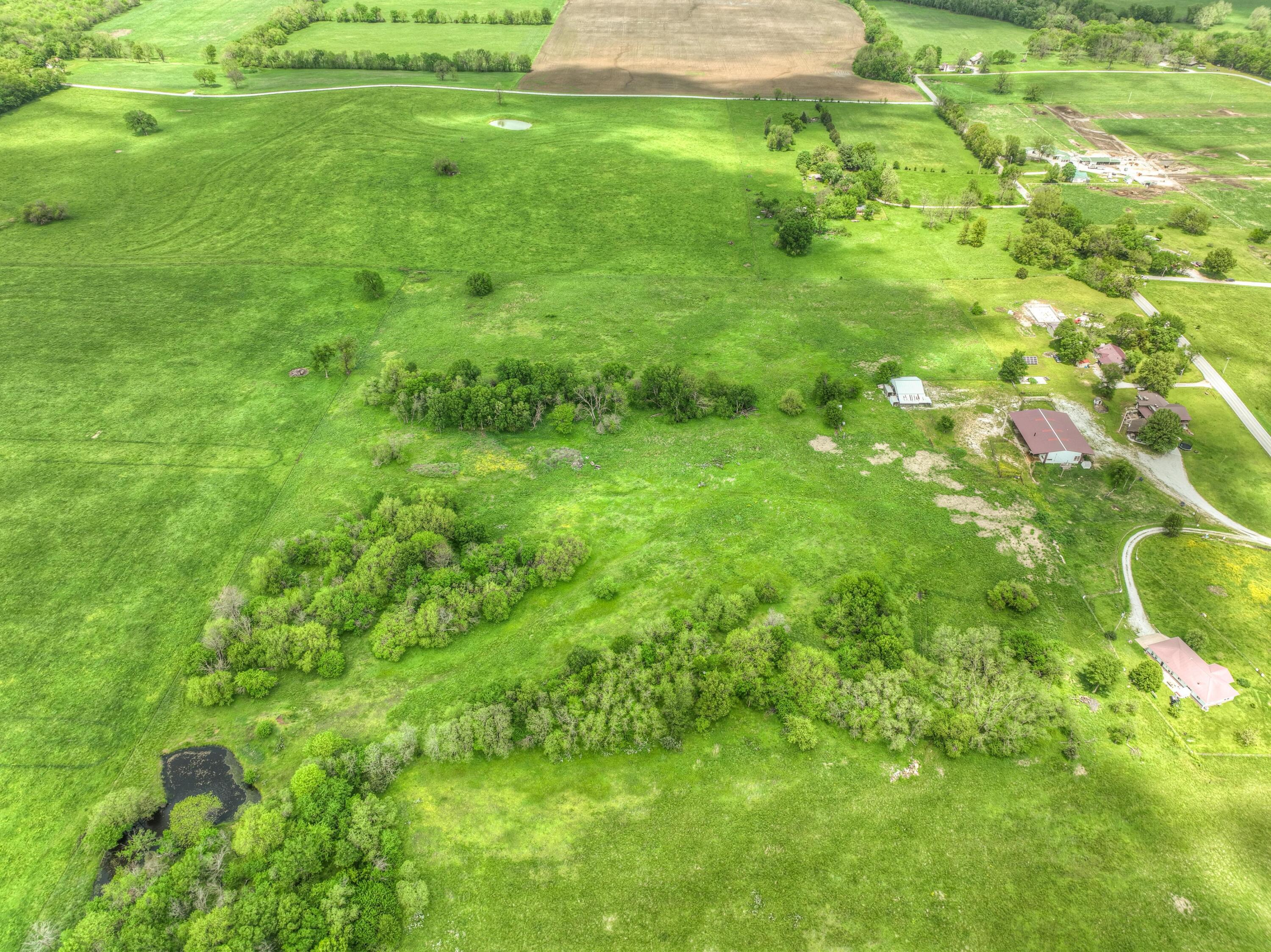 Photo 9 - Land for sale – Tbd  County Road 110   Carthage, MO