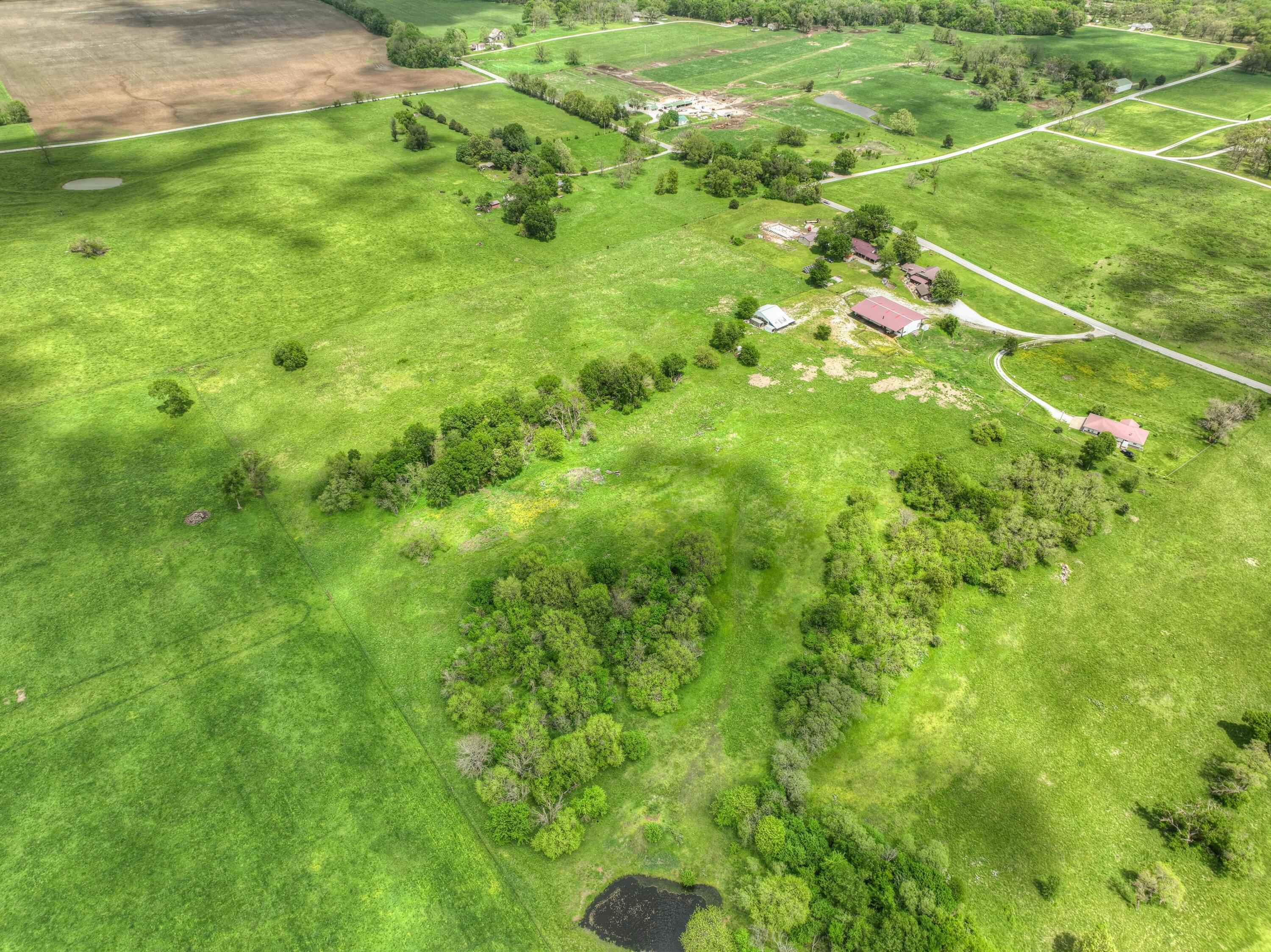 Photo 7 - Land for sale – Tbd  County Road 110   Carthage, MO