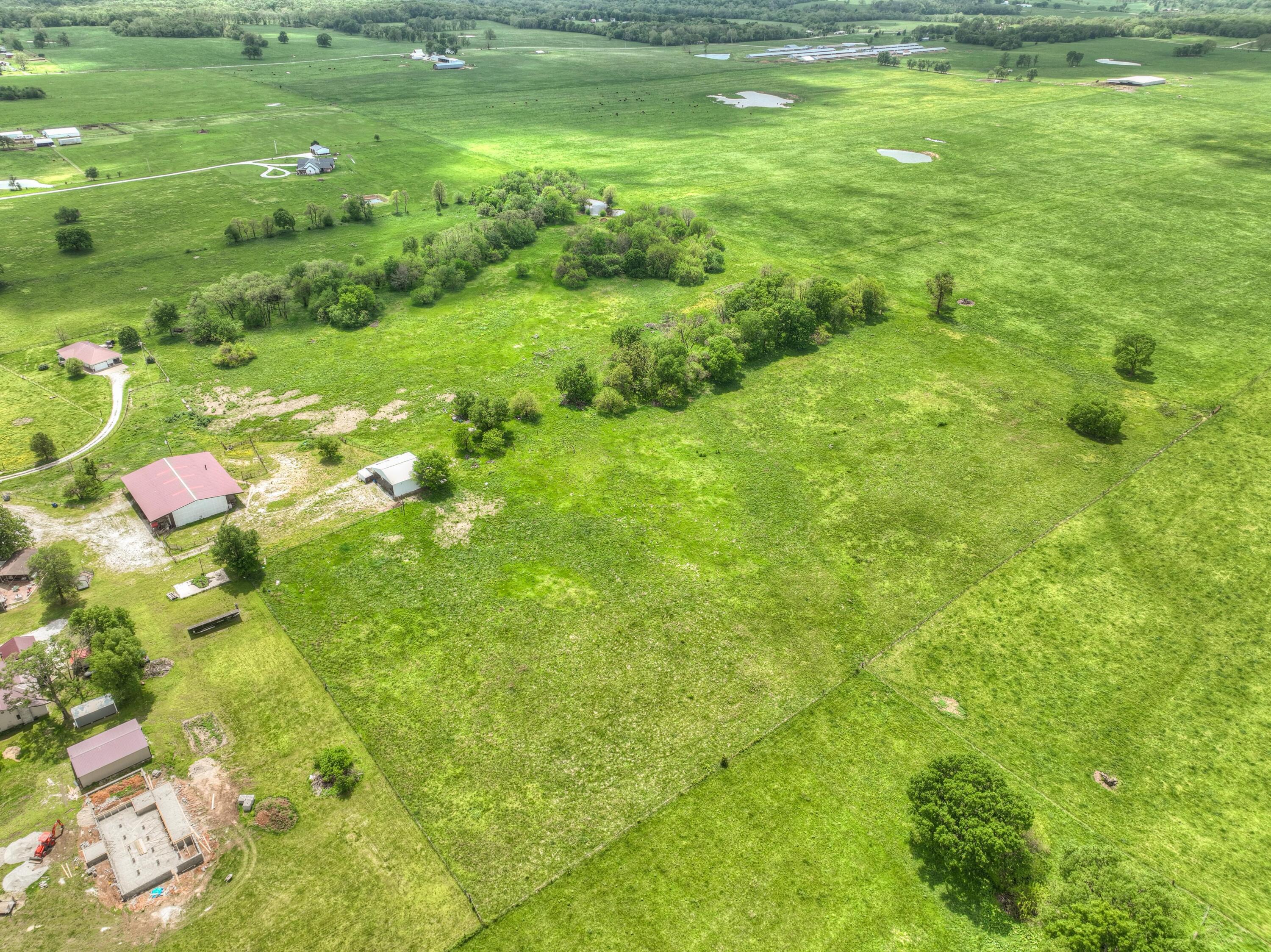 Photo 2 - Land for sale – Tbd  County Road 110   Carthage, MO