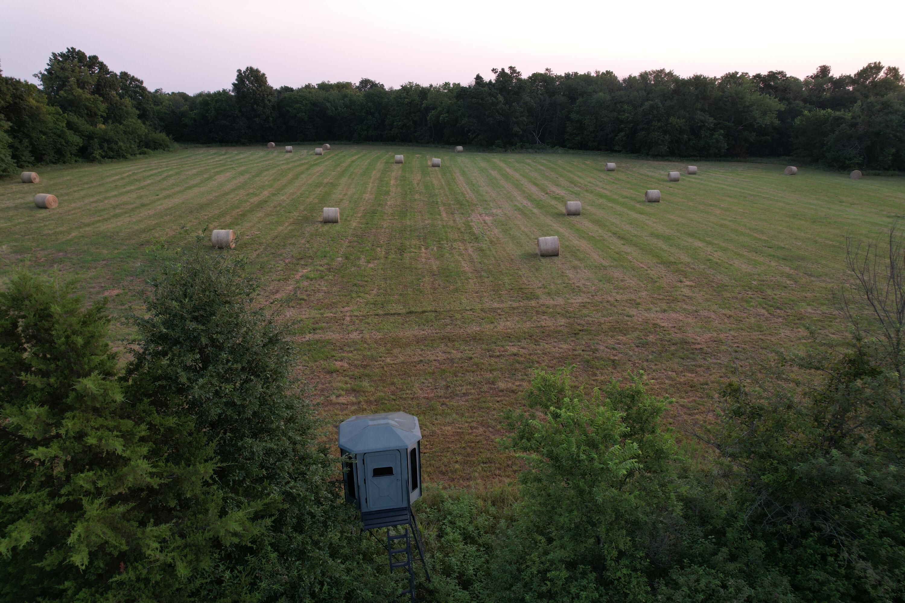 Photo 12 - Land for sale – 220 NW 40th Road  Lamar, MO