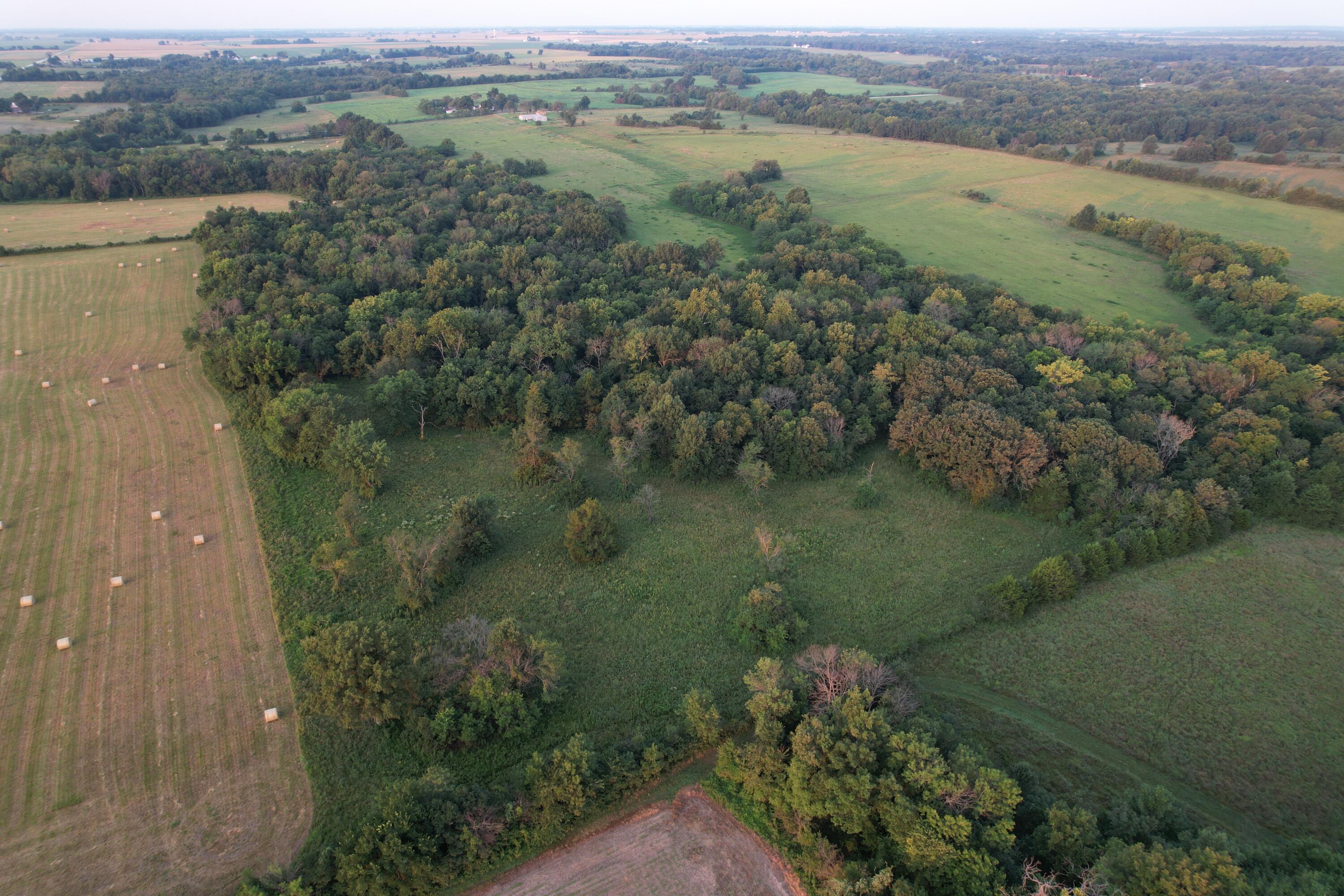 Photo 19 - Land for sale – 220 NW 40th Road  Lamar, MO