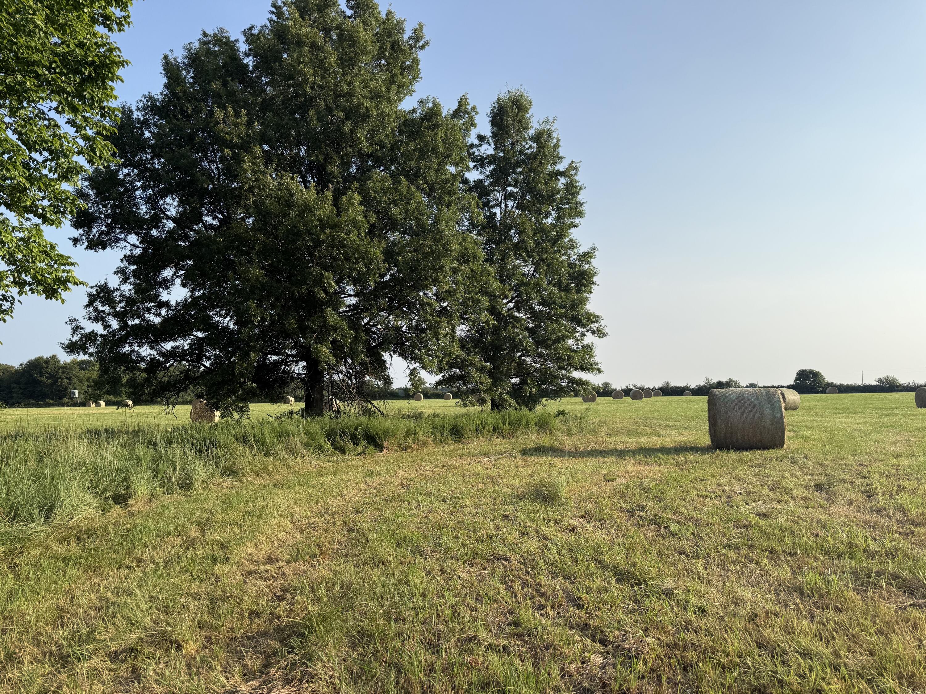 Photo 69 - Land for sale – 220 NW 40th Road  Lamar, MO