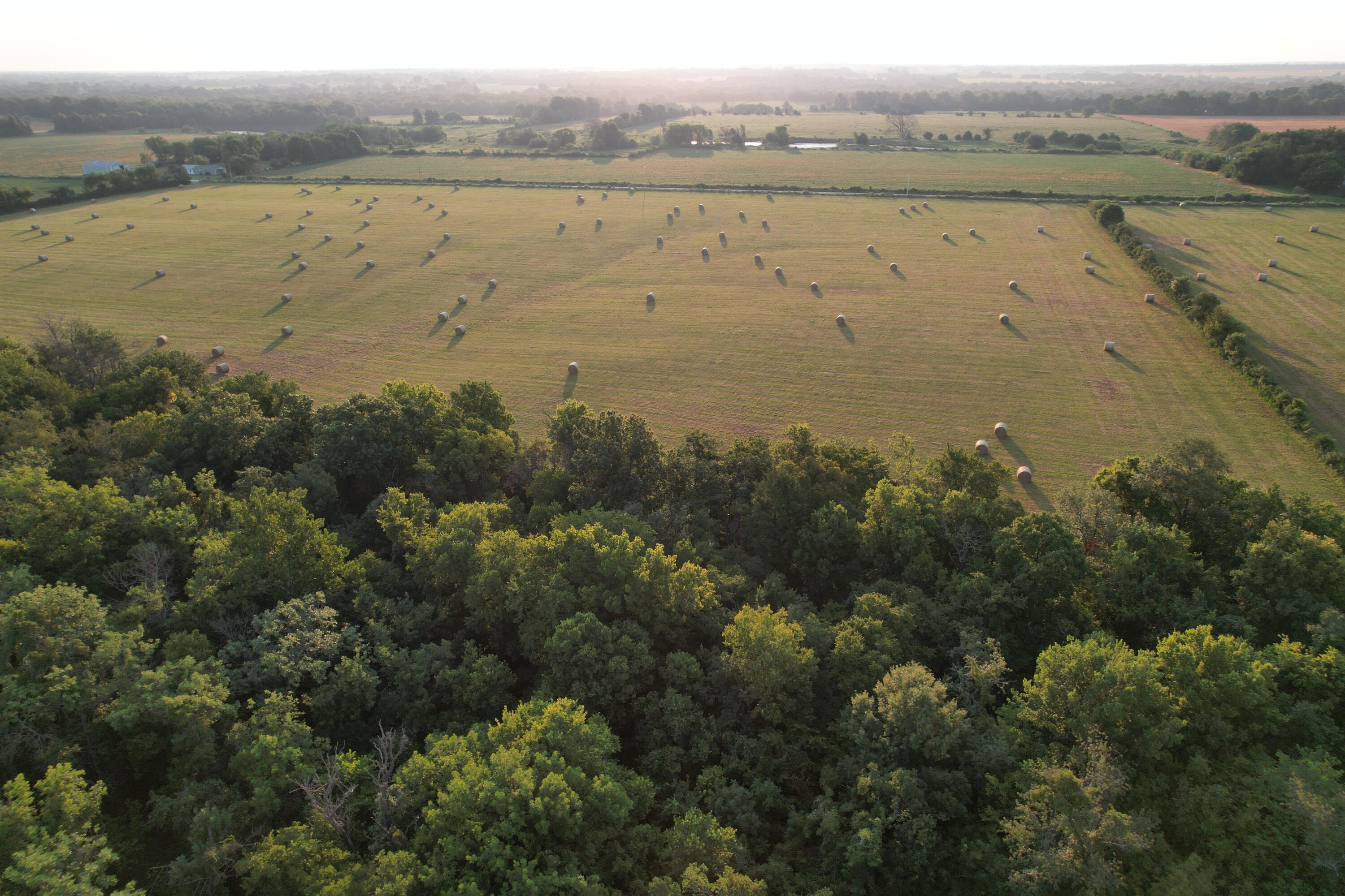 Photo 57 - Land for sale – 220 NW 40th Road  Lamar, MO