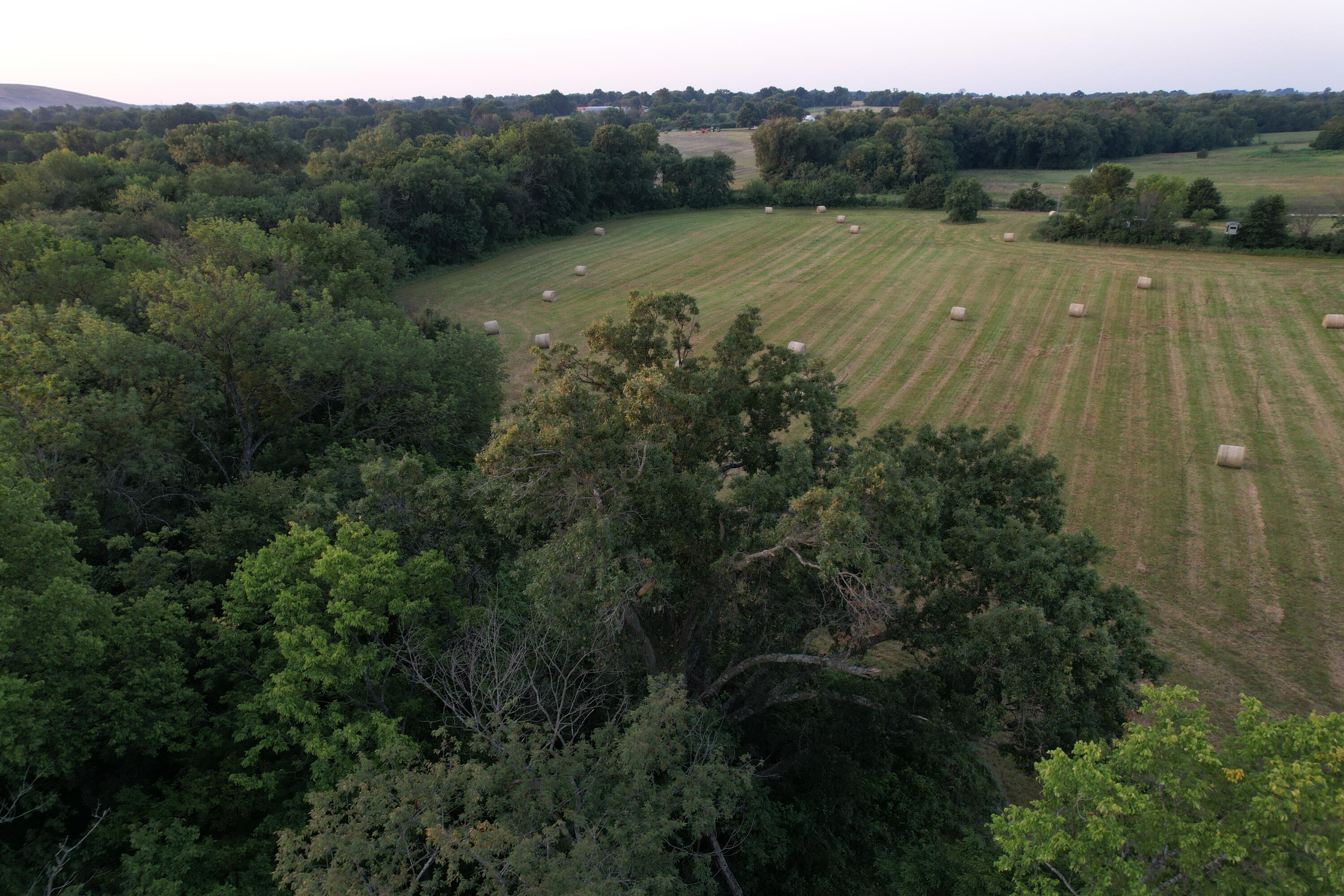 Photo 15 - Land for sale – 220 NW 40th Road  Lamar, MO