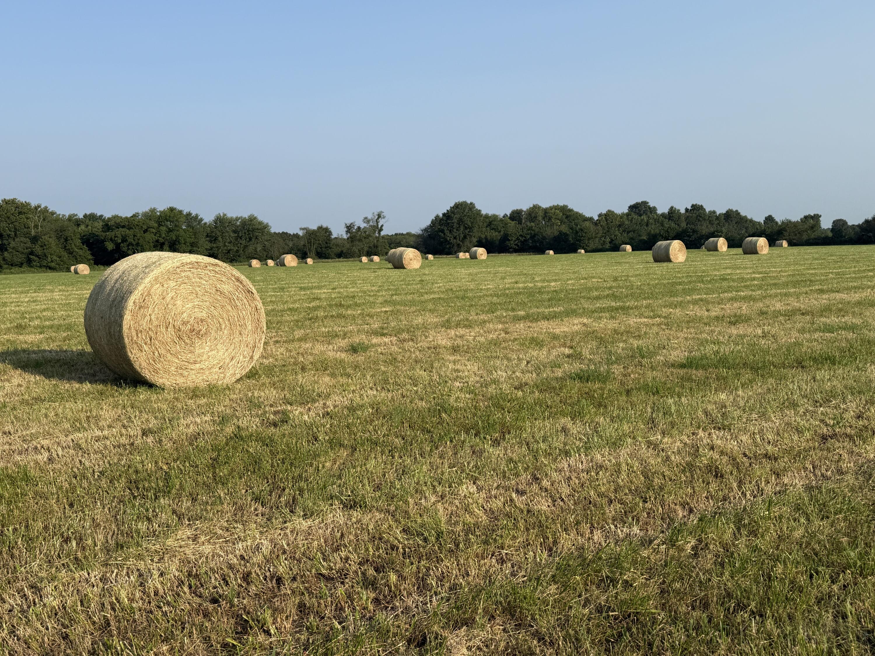 Photo 73 - Land for sale – 220 NW 40th Road  Lamar, MO