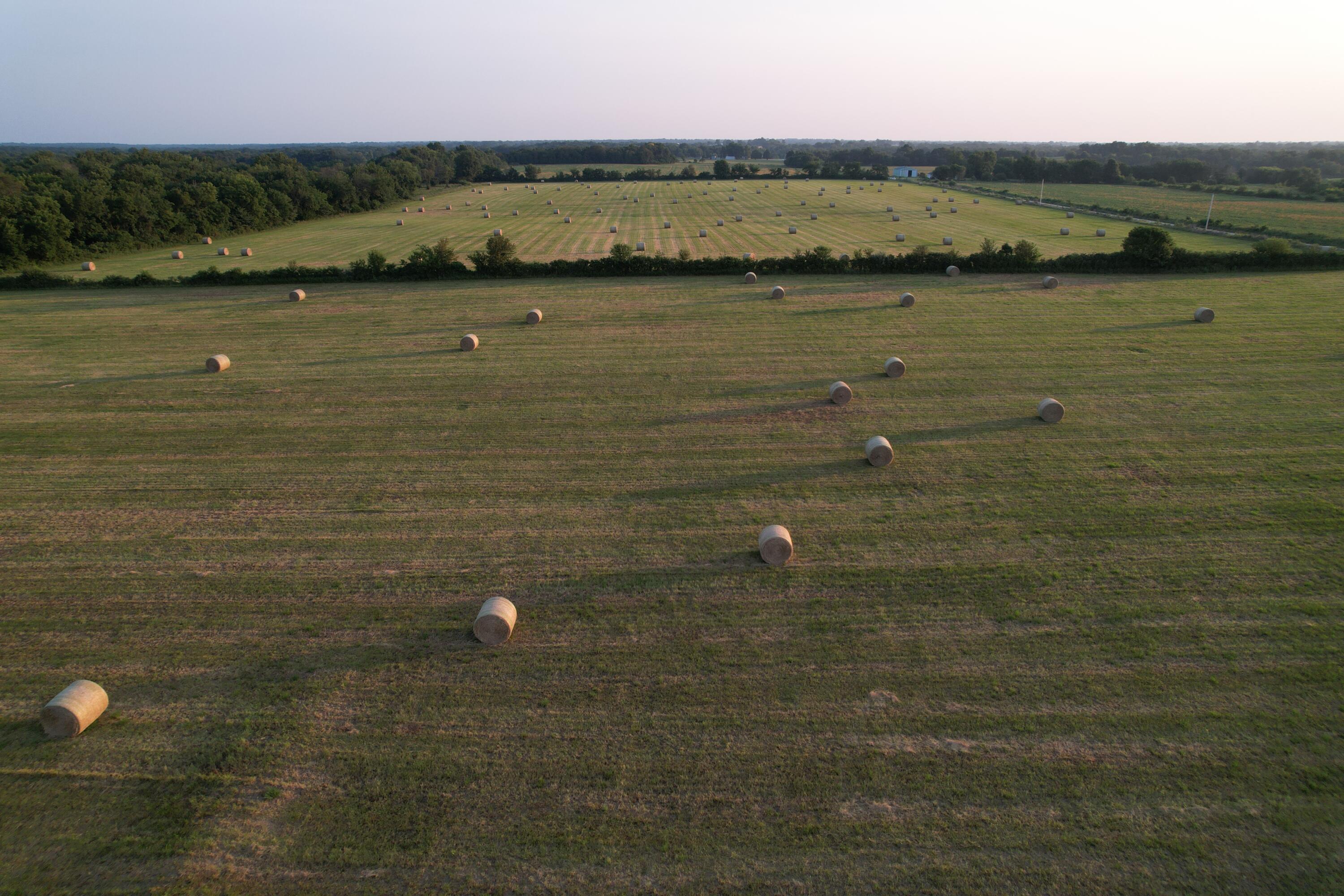 Photo 40 - Land for sale – 220 NW 40th Road  Lamar, MO