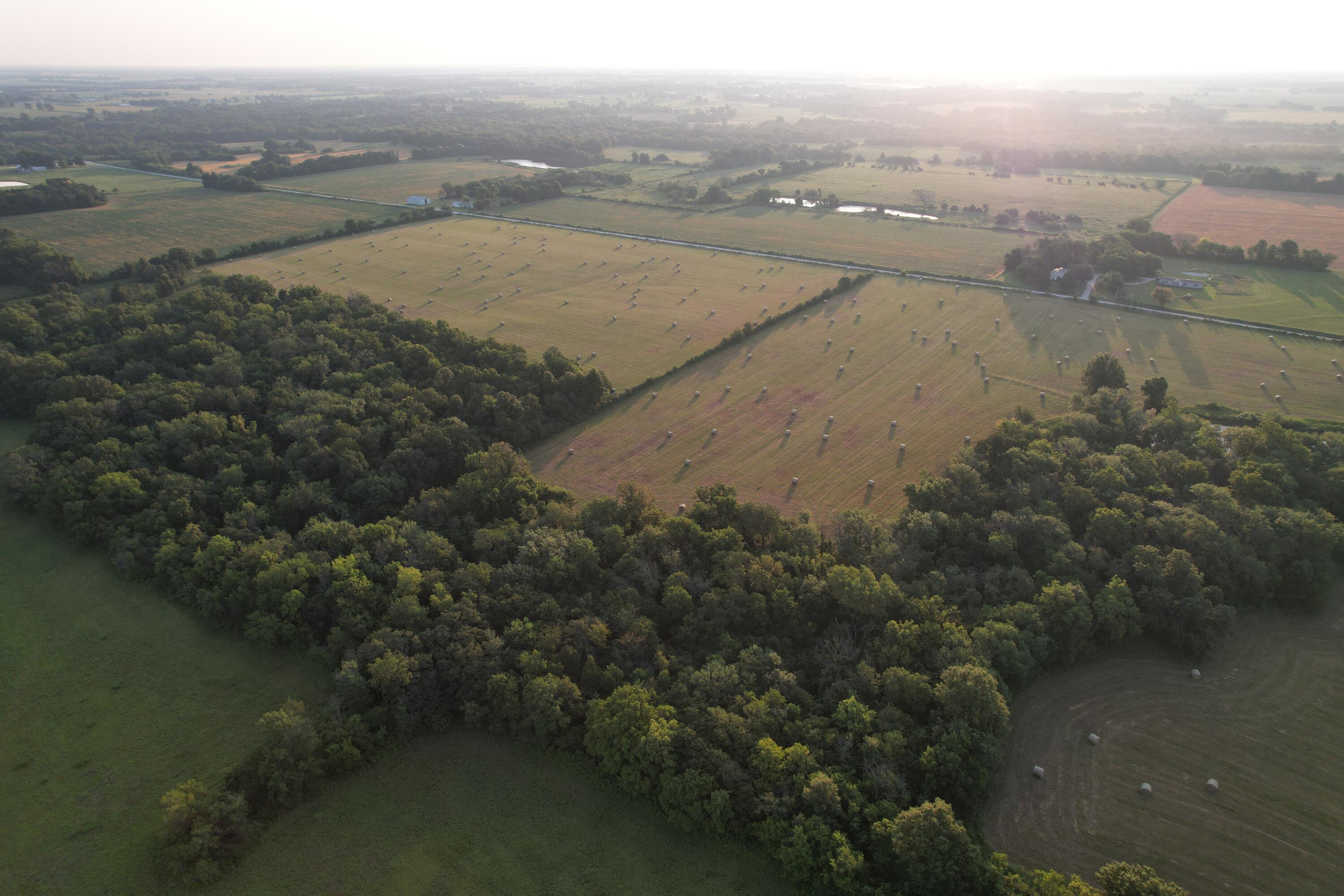 Photo 50 - Land for sale – 220 NW 40th Road  Lamar, MO